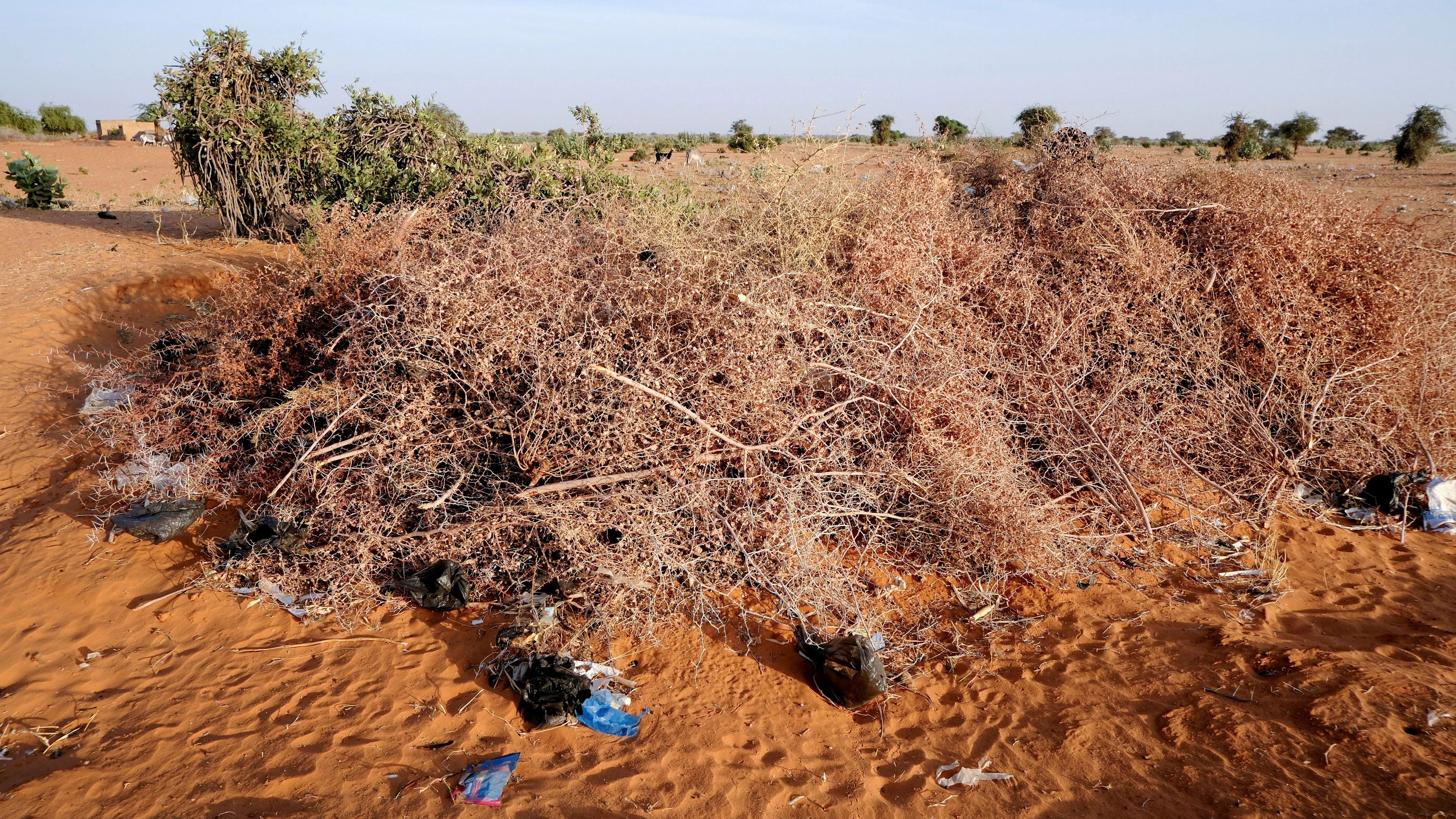 Massengrab in Nord Kordofan für Opfer der Drohnenangriffe