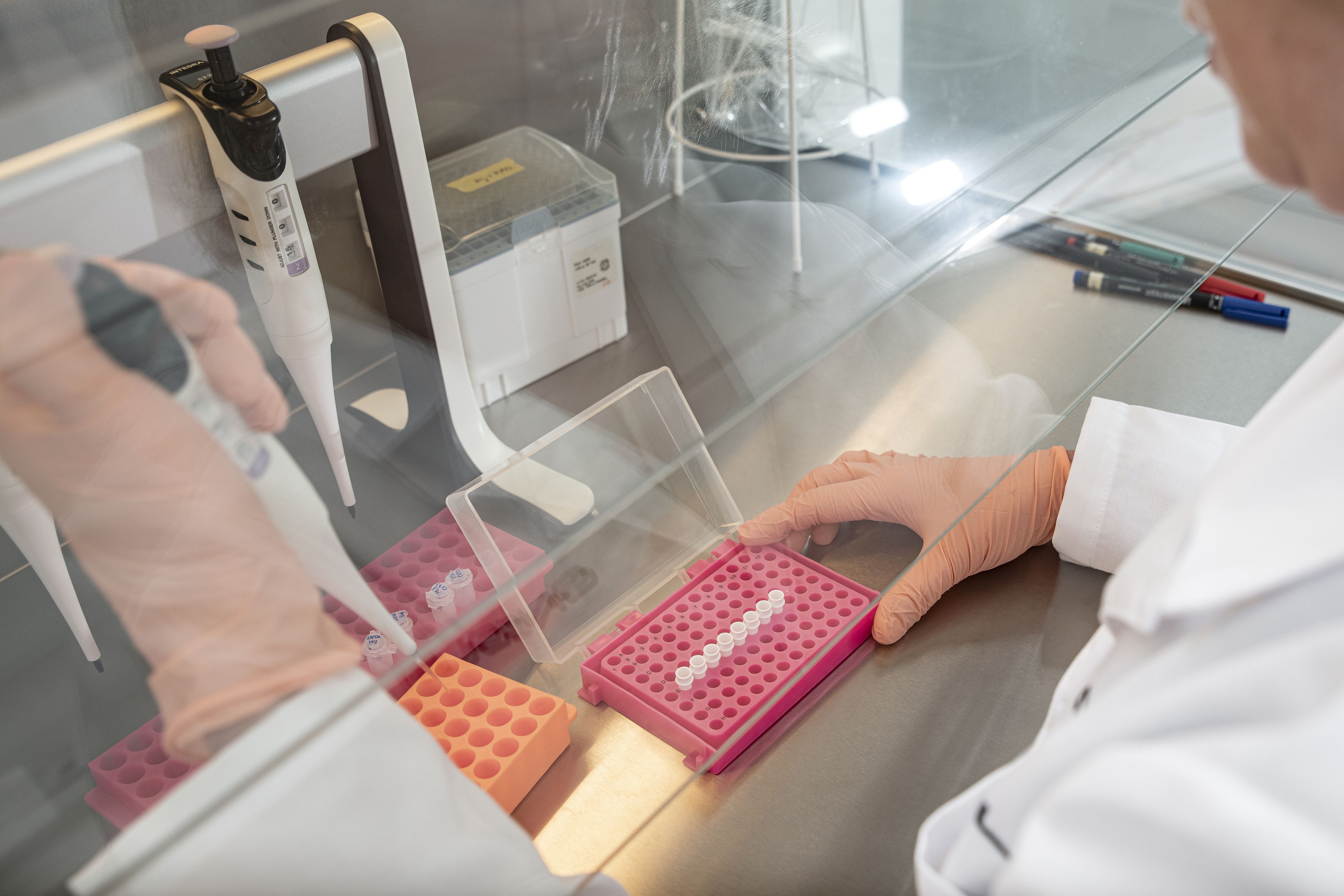 Eine Studie liefert erste Hinweise darauf, dass das von Zecken übertragene Virus seit Jahrzehnten in Mitteleuropa zirkuliert.