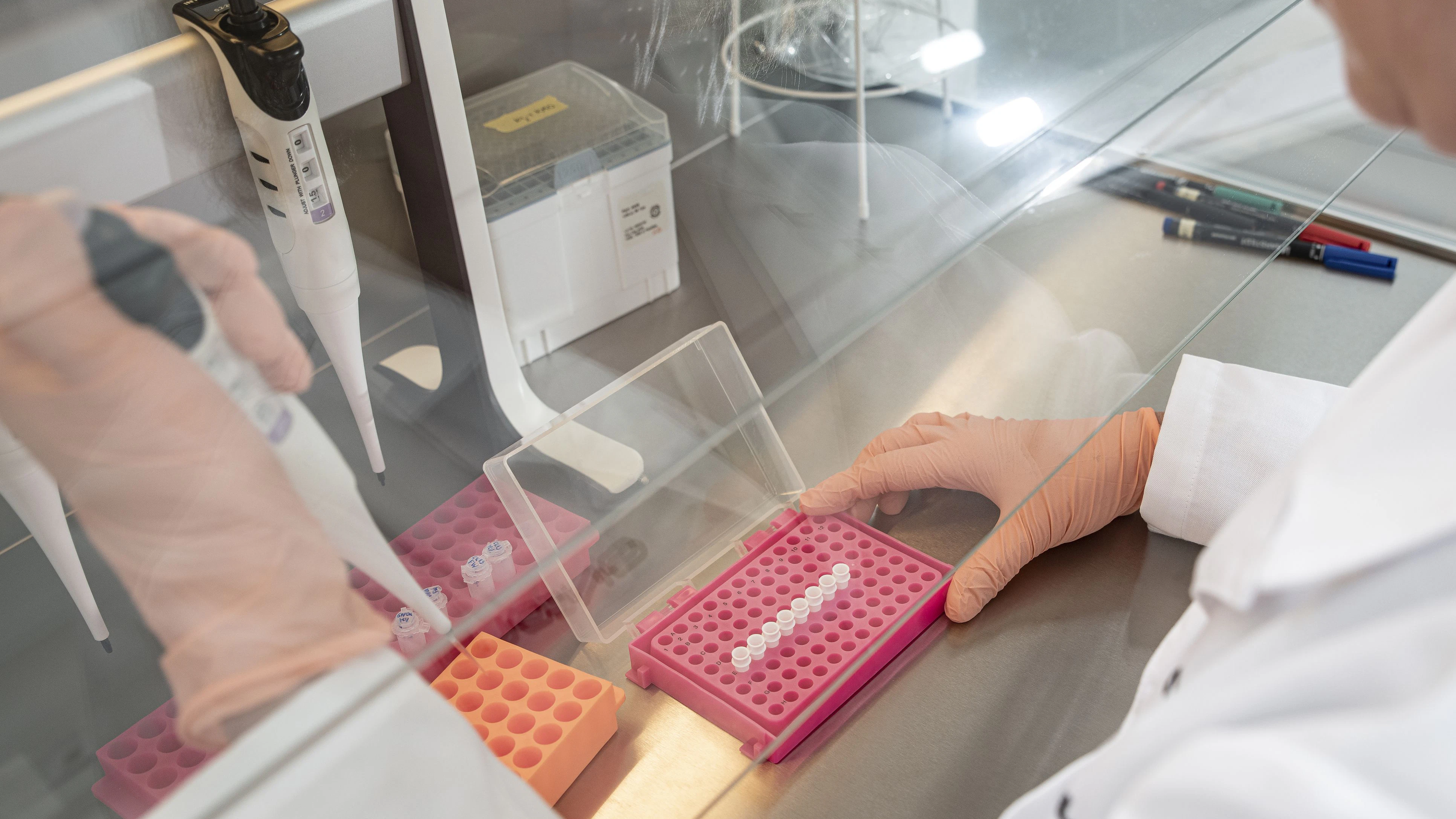 Studie liefert erste Hinweise darauf, dass das von Zecken übertragene Virus seit Jahrzehnten in Mitteleuropa zirkuliert
