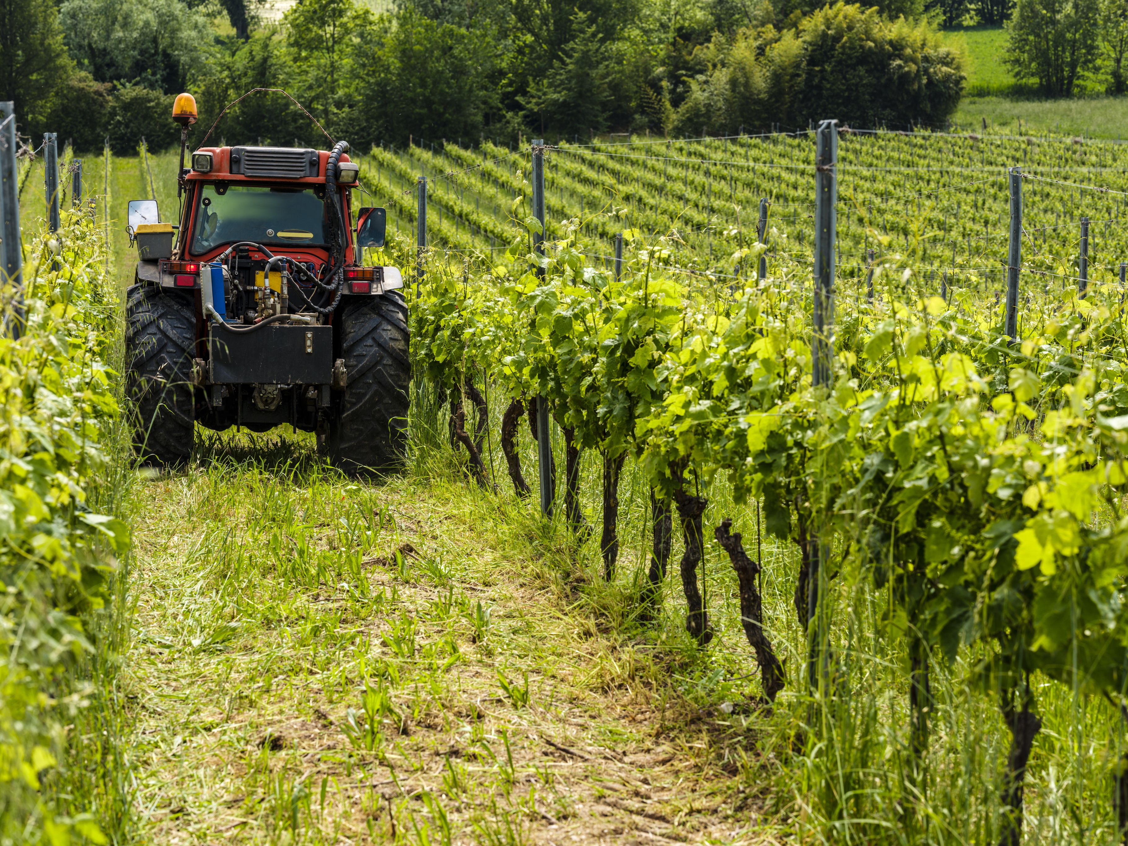 Heute.at - Landwirt (37) wird von eigenem Traktor überrollt