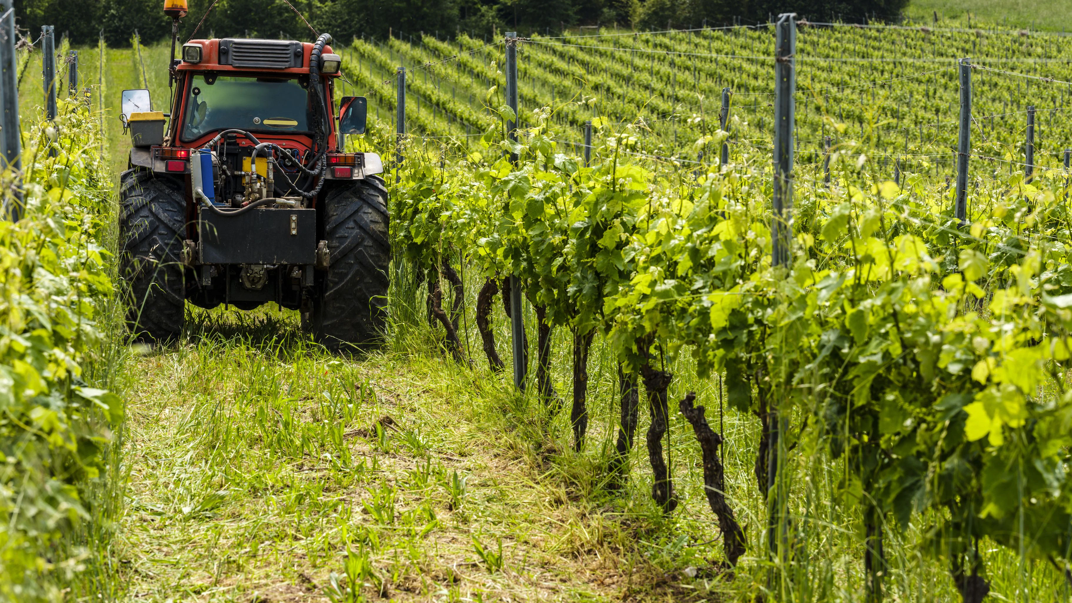 Der Landwirt wurde von seinem Traktor überrollt.