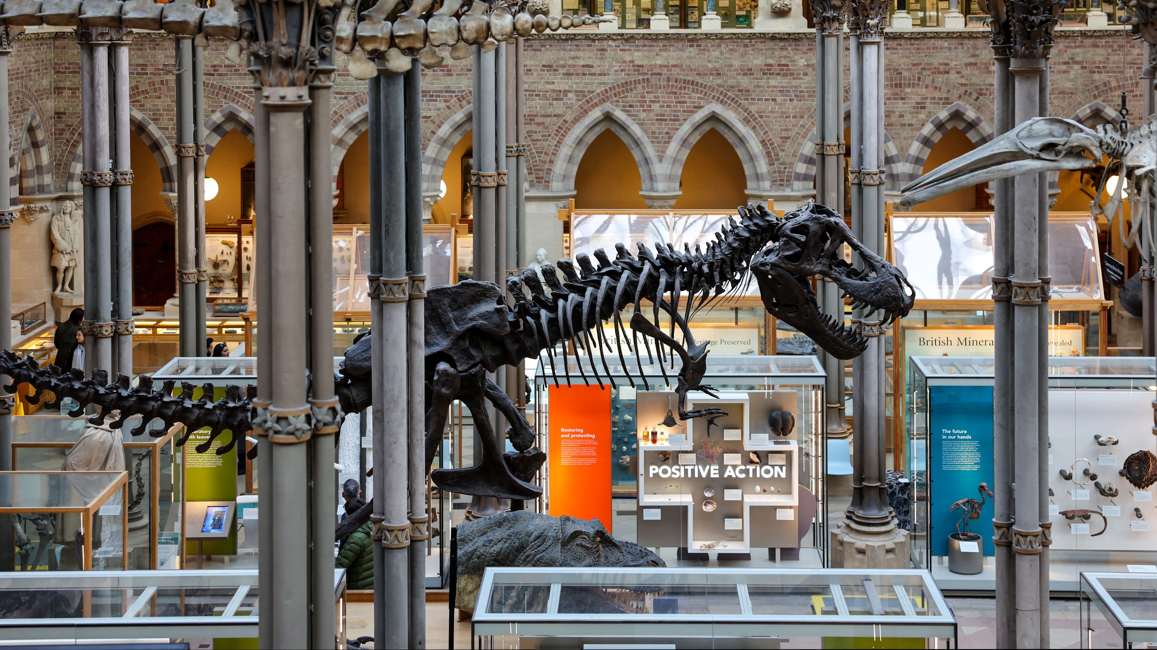 Oxford University Museum of Natural History