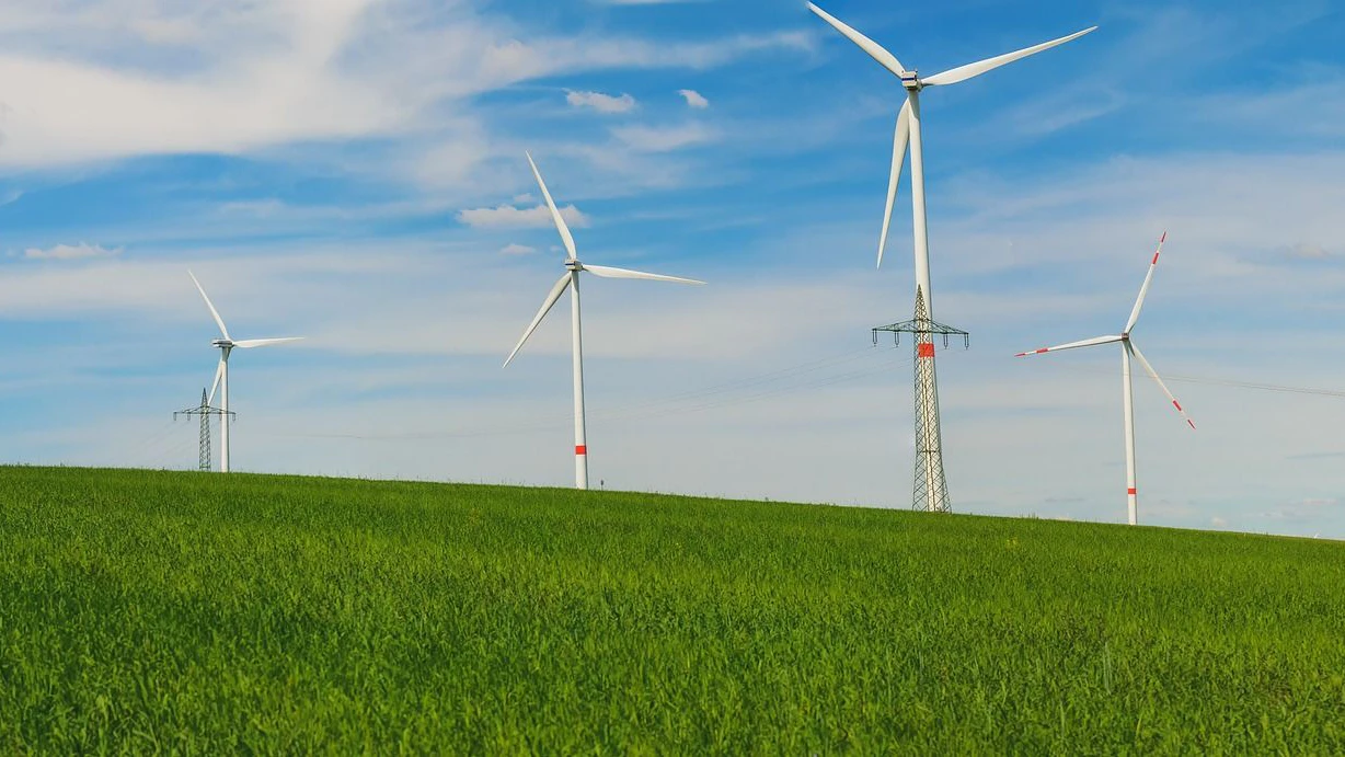 Heute.at - Windräder als Vogel-Killer? Das sagt eine Studie