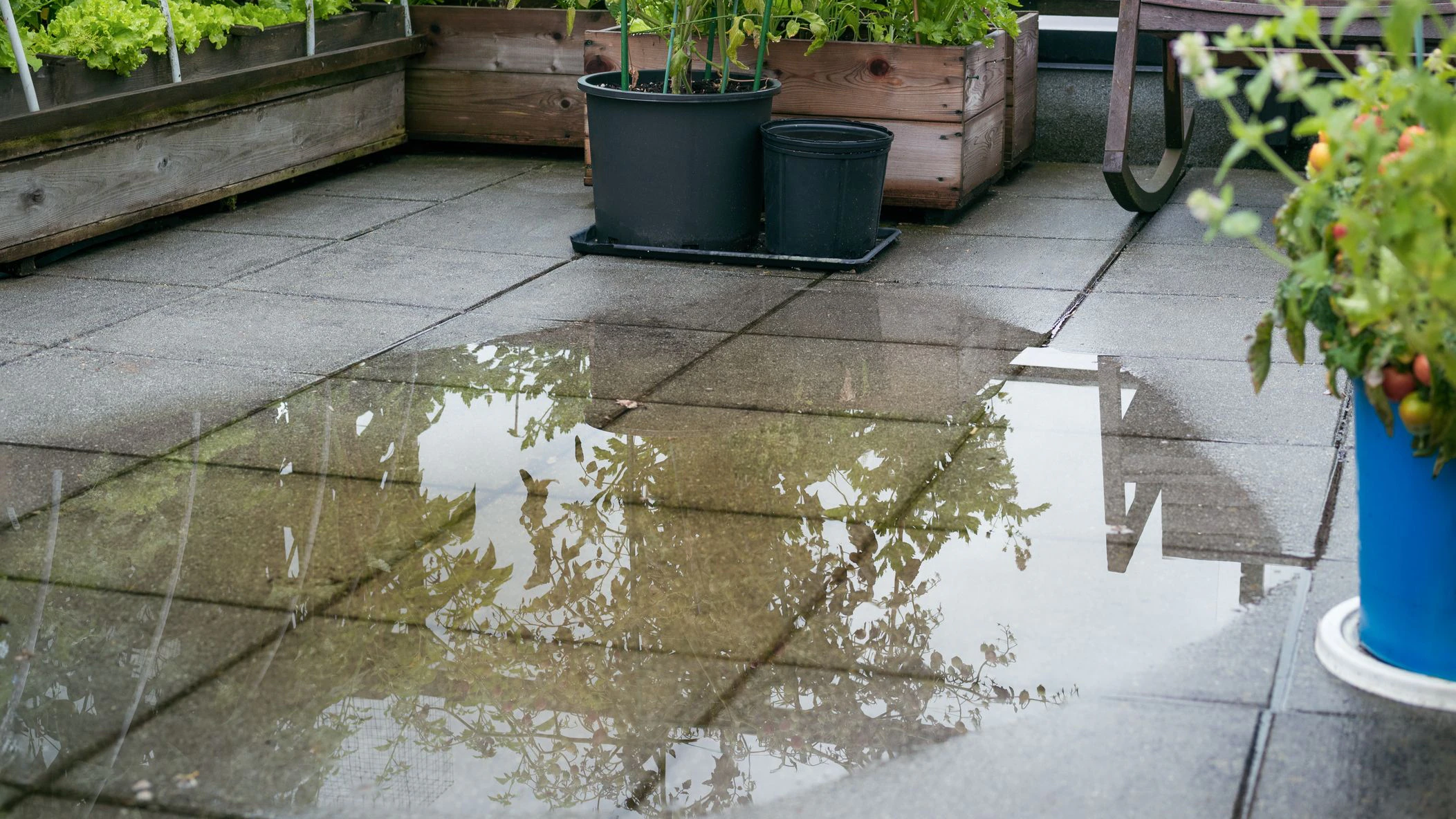Overflown drainage causing to pool large amount of water on tiles. Unclog the drain from mud or dirt or plumber has to snake pipe. Selective focus.