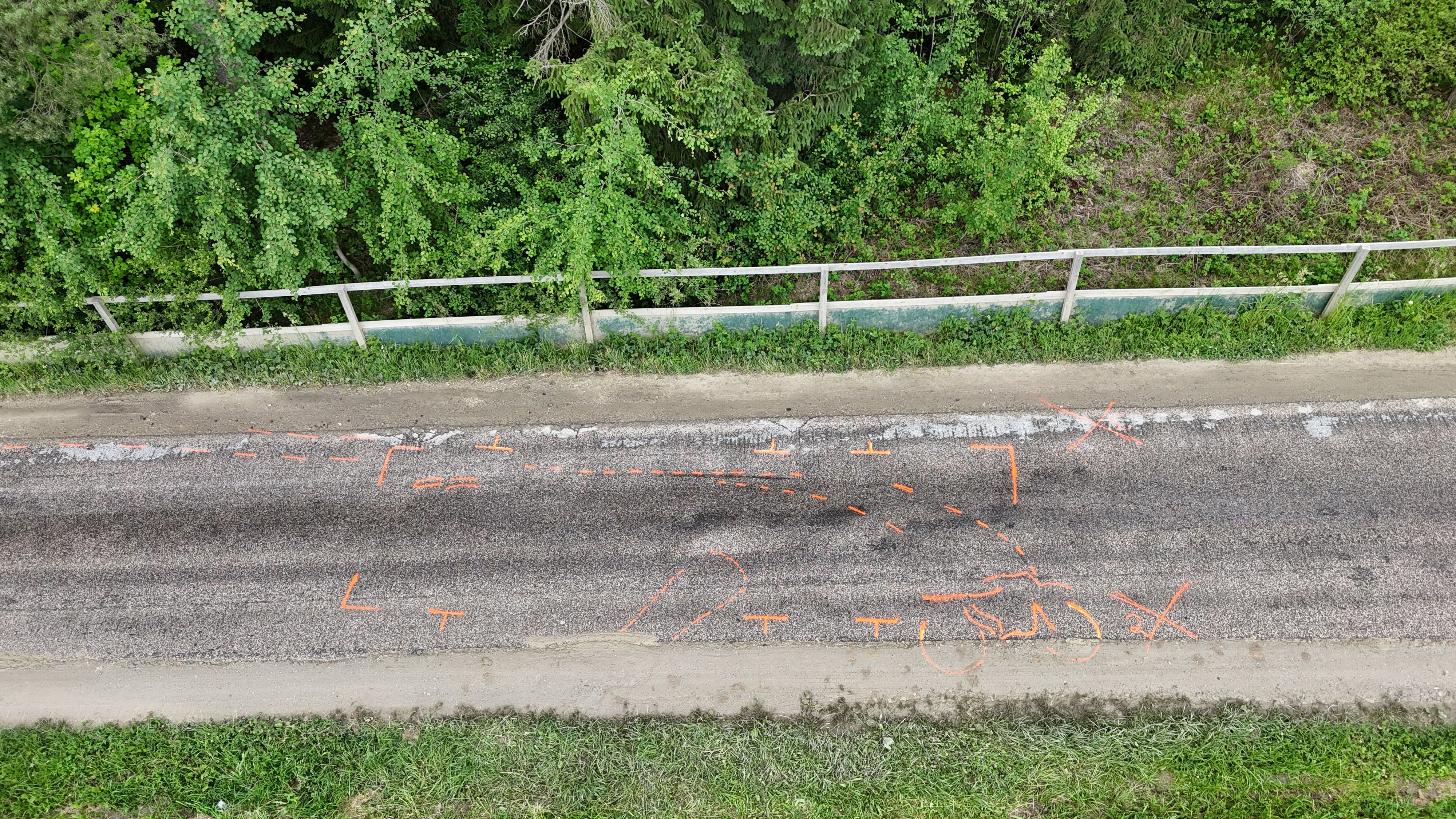 Ein 15-jähriger Mopedfahrer kam am 9. Juni 2026 bei einem schweren Verkehrsunfall auf der Labacher Straße im Gemeindegebiet von Rainbach ums Leben. 