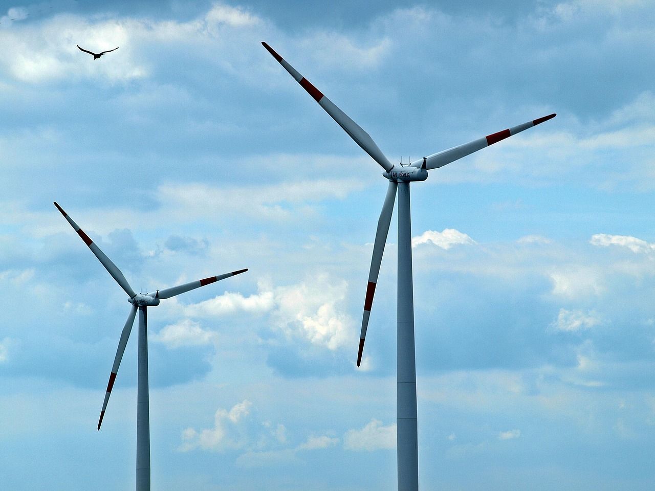 Vogel im Flug neben Windkraftanlage