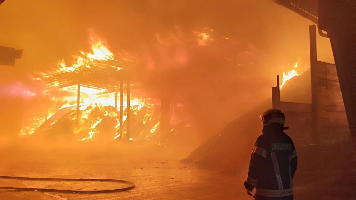 Am Mittwoch kam es in Mistelbach zu einem Großbrand in einem Sägewerk. 