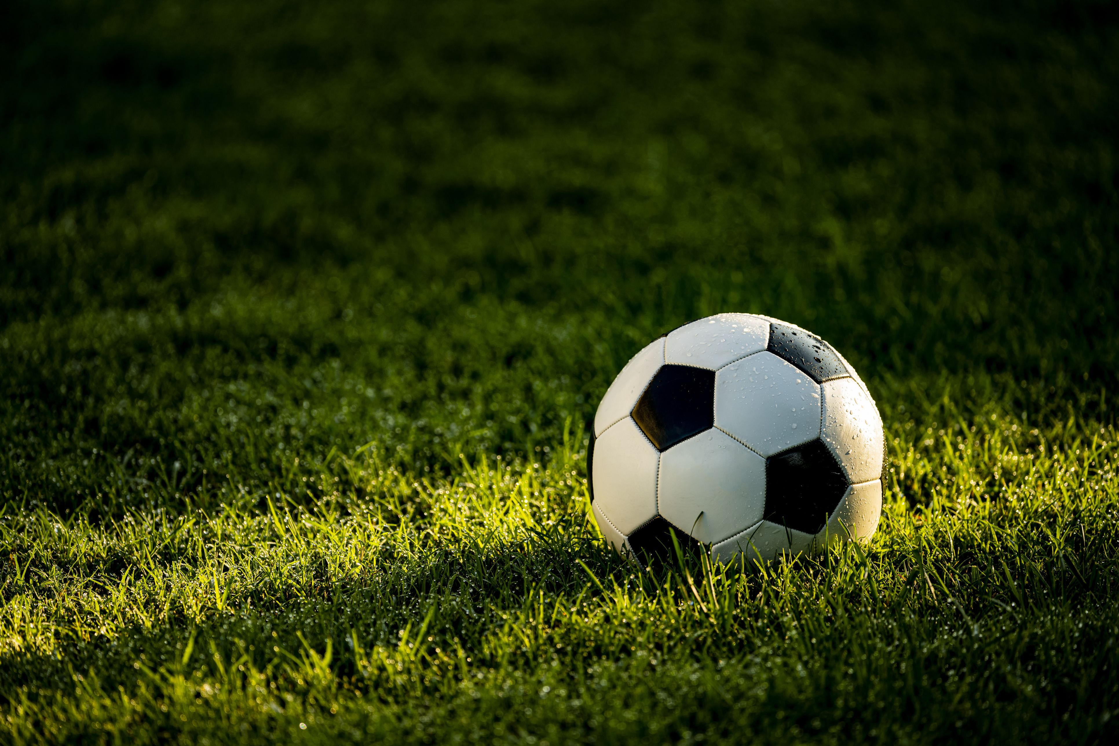 Heute.at - So wird der Garten zum perfekten WM-Fußballplatz