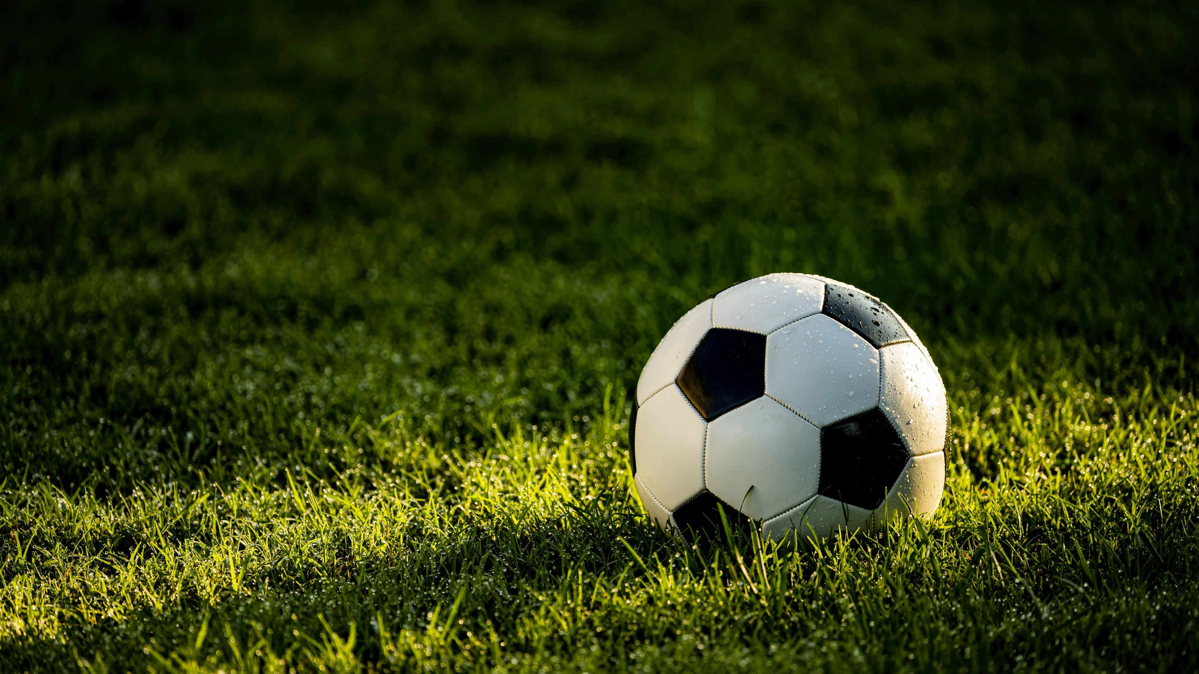 A B&W soccer ball sitting in the dewy grass as the light beam from the sunrises laminates it.