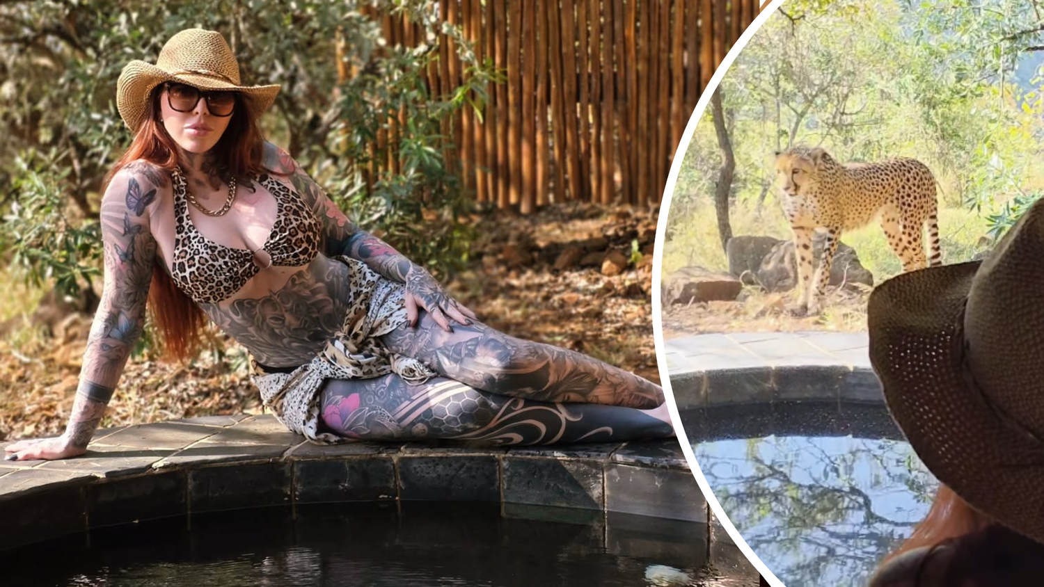 Reality-Star Jojo Robinson kommt in Südafrika einem Geparden nahe.