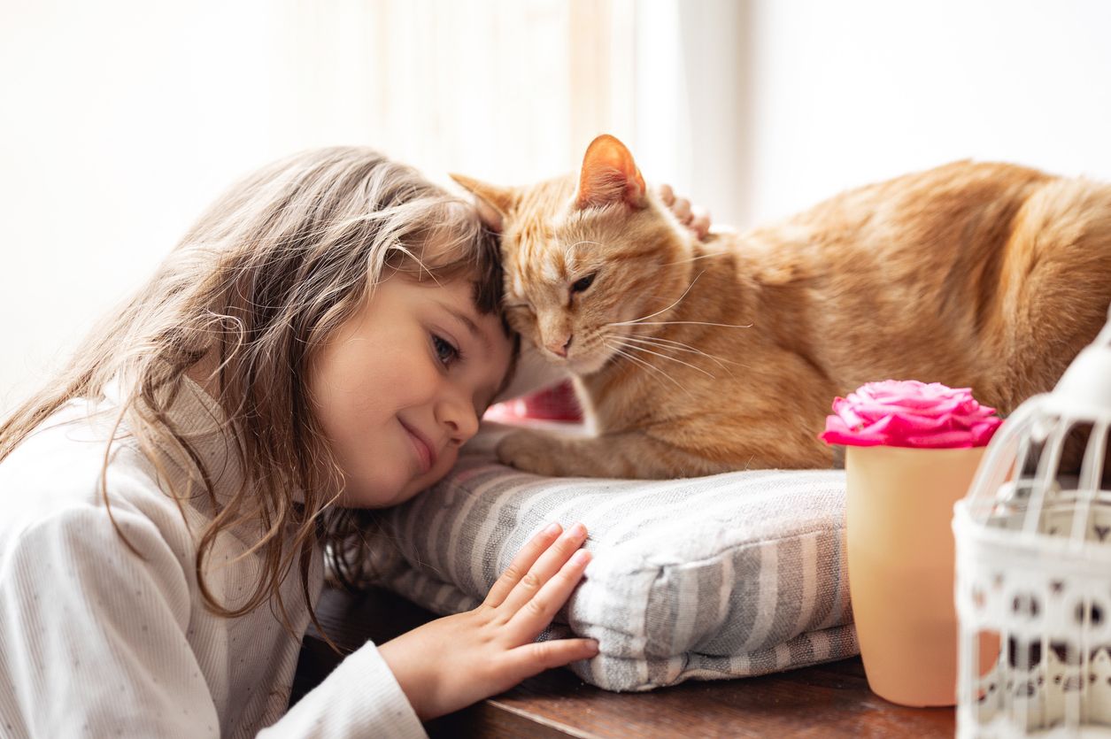 Heute.at - Die Katze muss bleiben, wenn Kinder Asthma haben