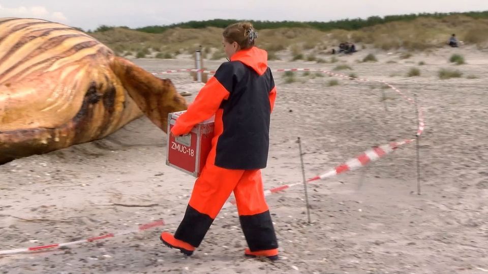 Die Daten des Trackers wurden ausgewertet. 