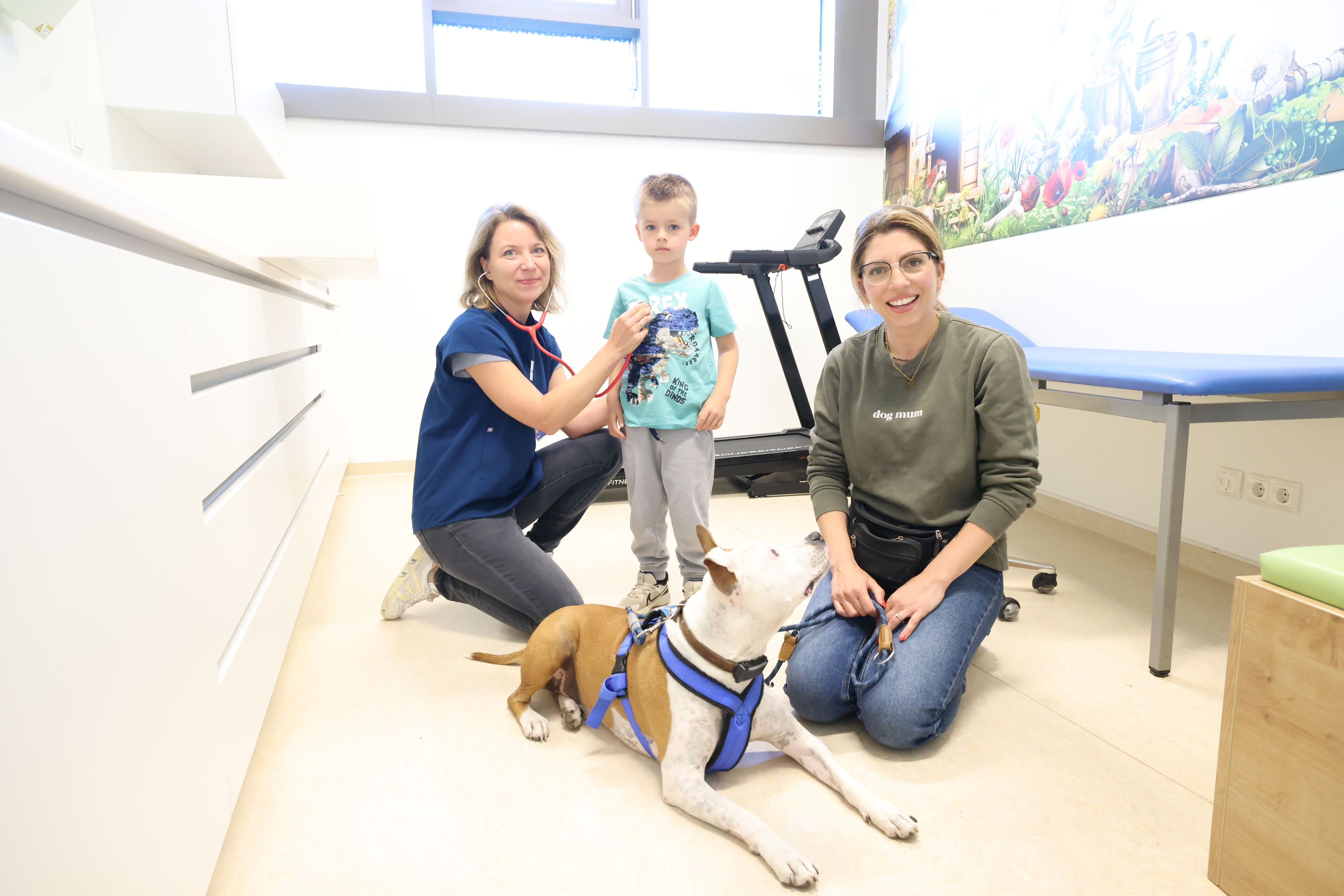 Therapiehund 