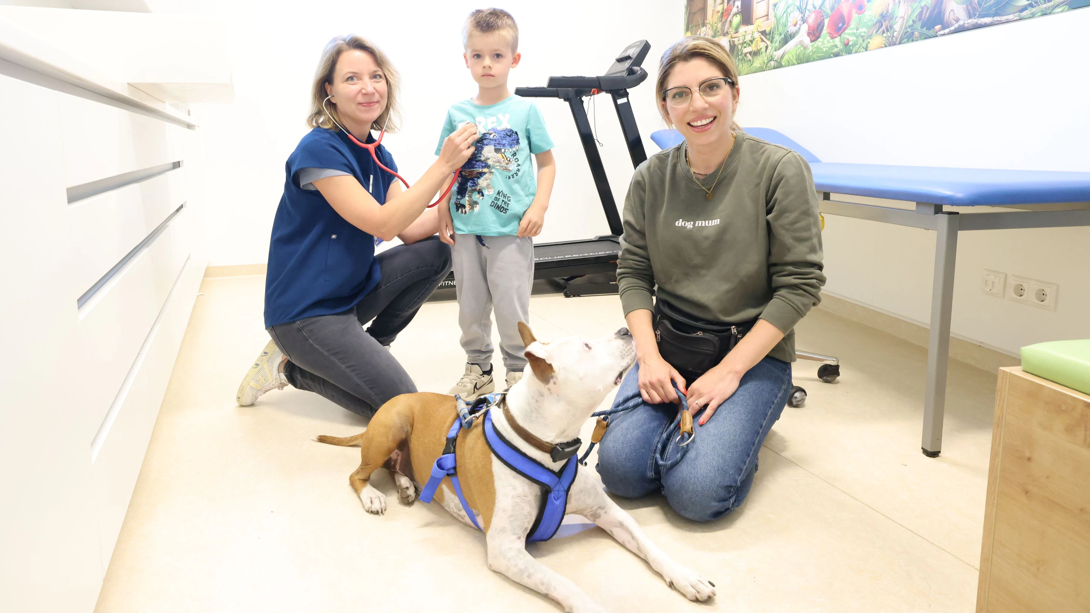 Heute.at - Listenhund Tito als Therapeut beim Kinderarzt