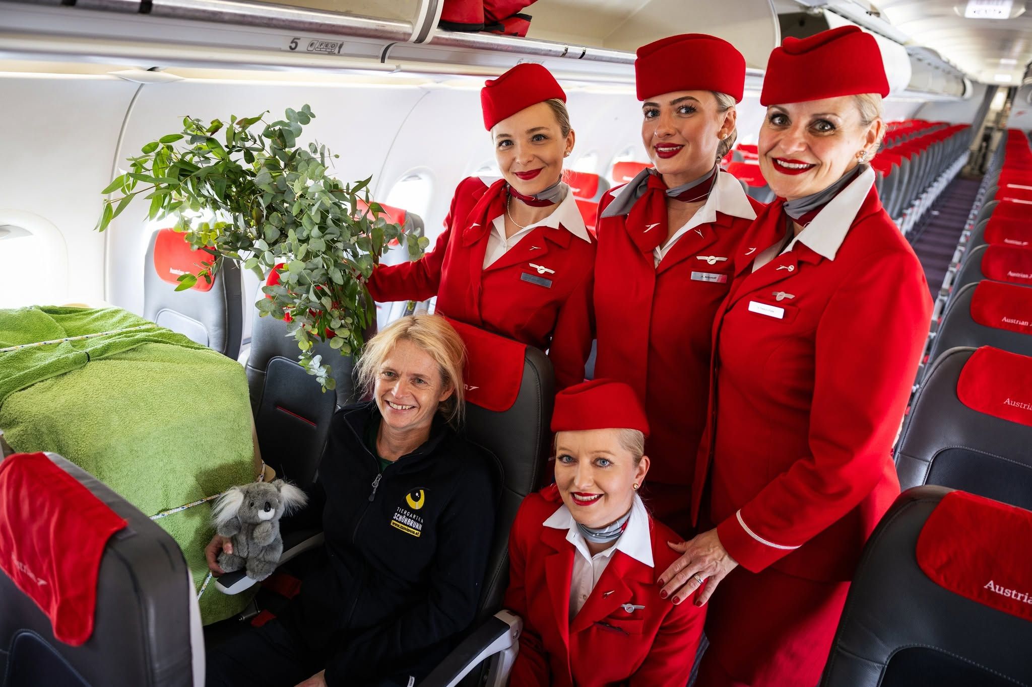 Heute.at - Darum roch es im AUA-Flieger so schön nach Eukalyptus