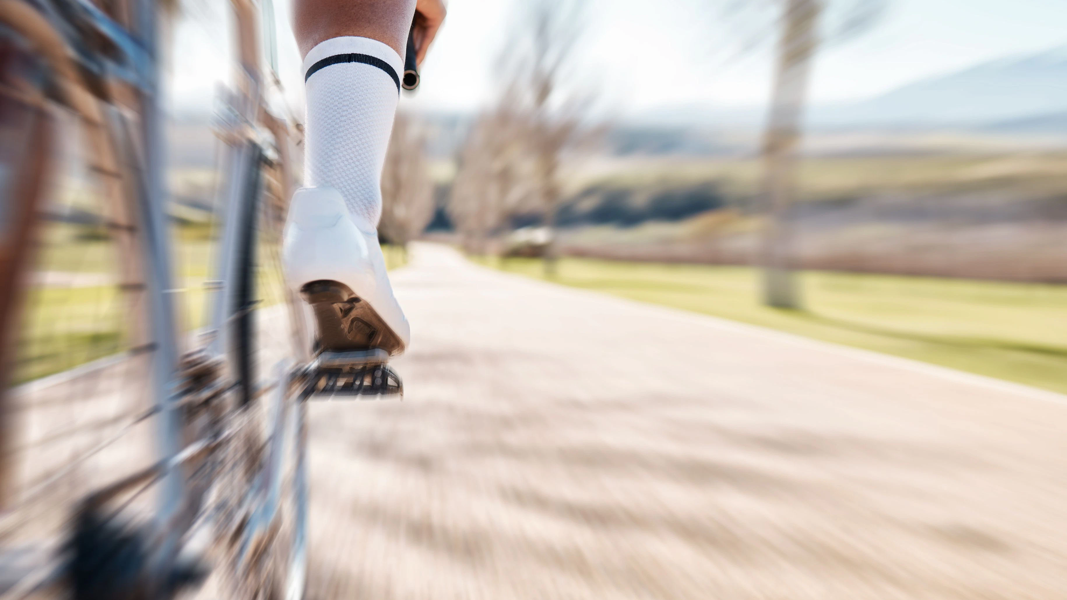 Ein Rennradfahrer kollidiert bergab mit einer Katze und stürzte tödlich