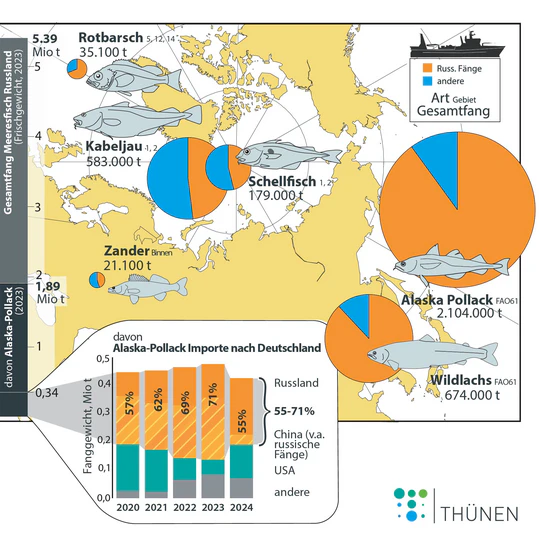 Bedeutung der russischen Meeresfischerei: Gesamtfang russischer Fischereifahrzeuge (links) und Anteil Alaska-Pollack daran (Frischgewicht); Herkunft der Alaska-Pollack-Importe nach Deutschland 2020-2024.