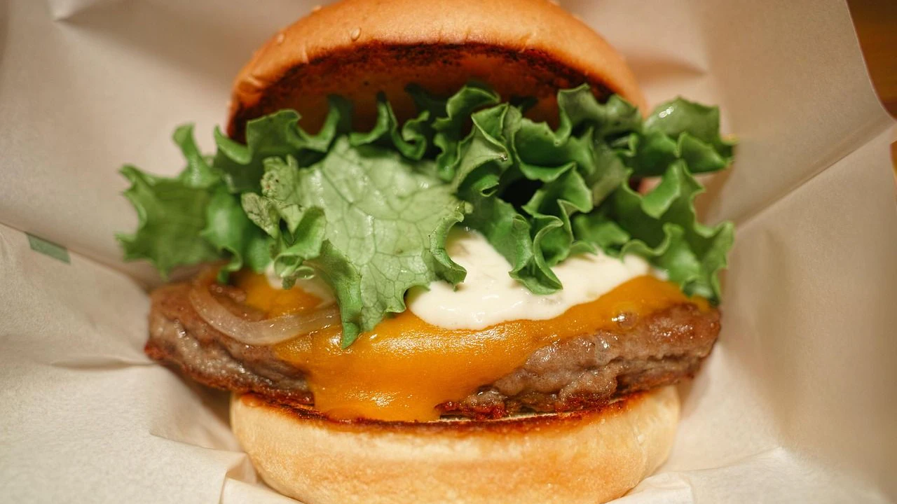 Heute.at - Bester Burger der Welt kommt aus Tokio