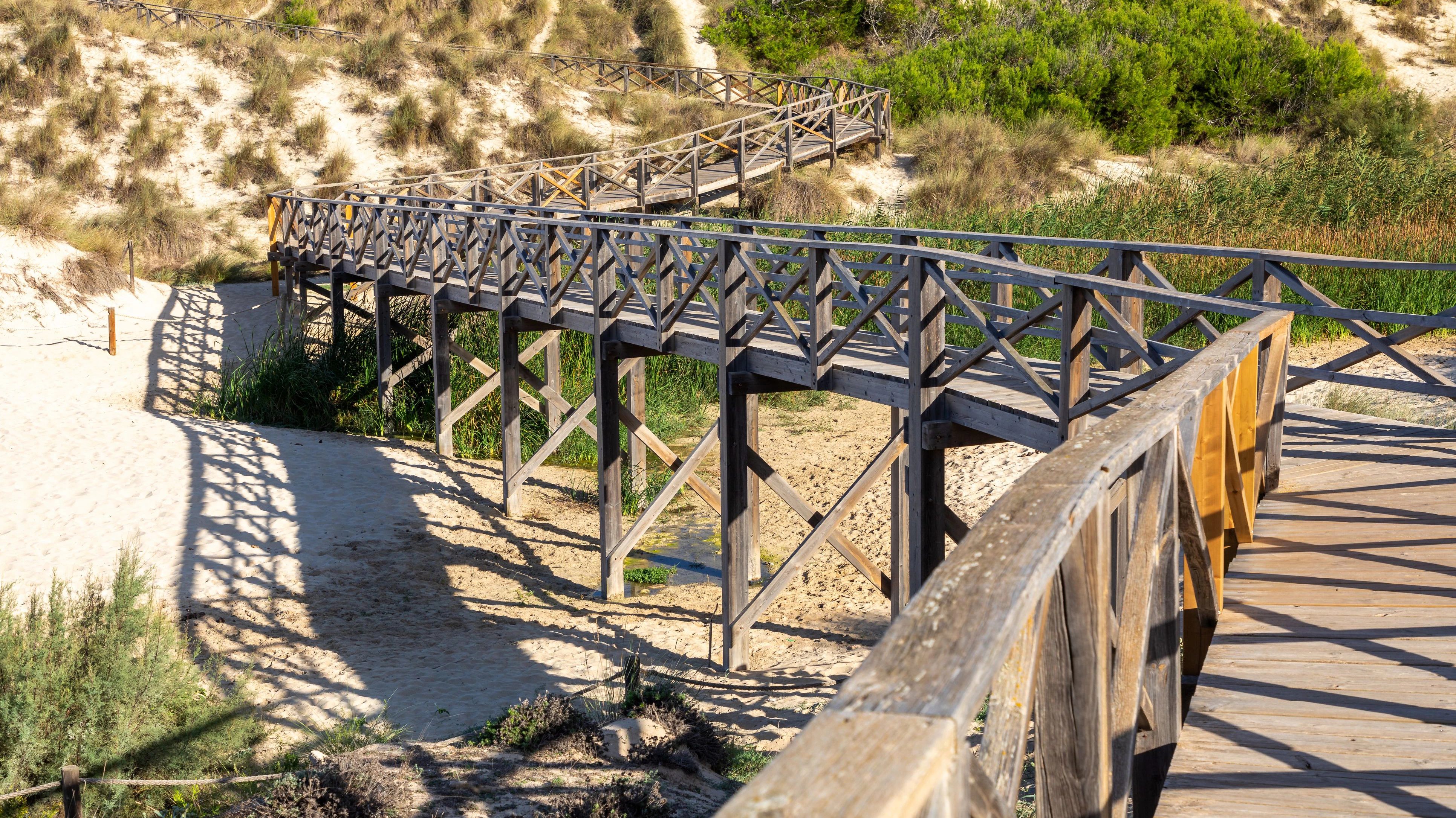 Ein Holzsteg führt durch die Dünen Cala Mesquida.