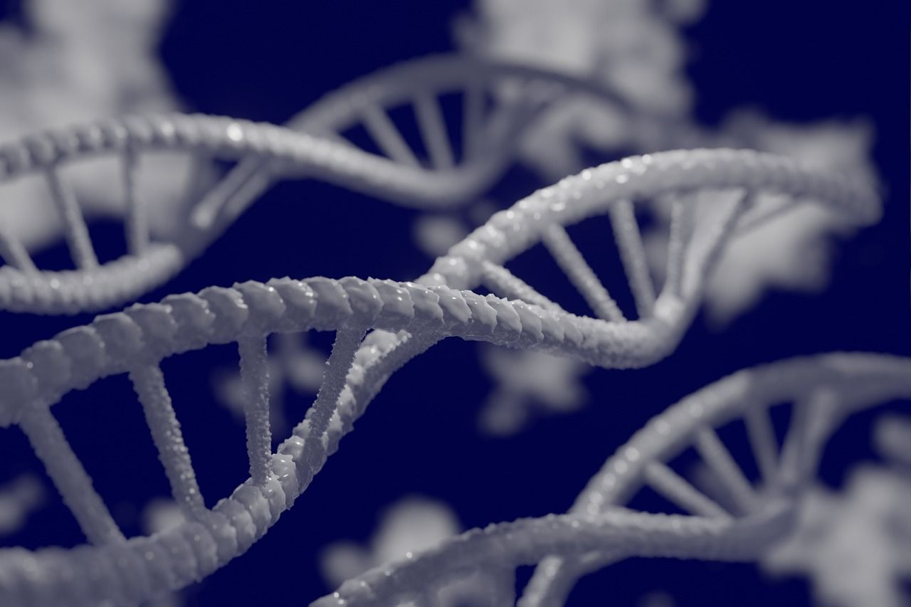 DNA-Struktur in der genetischen Forschung