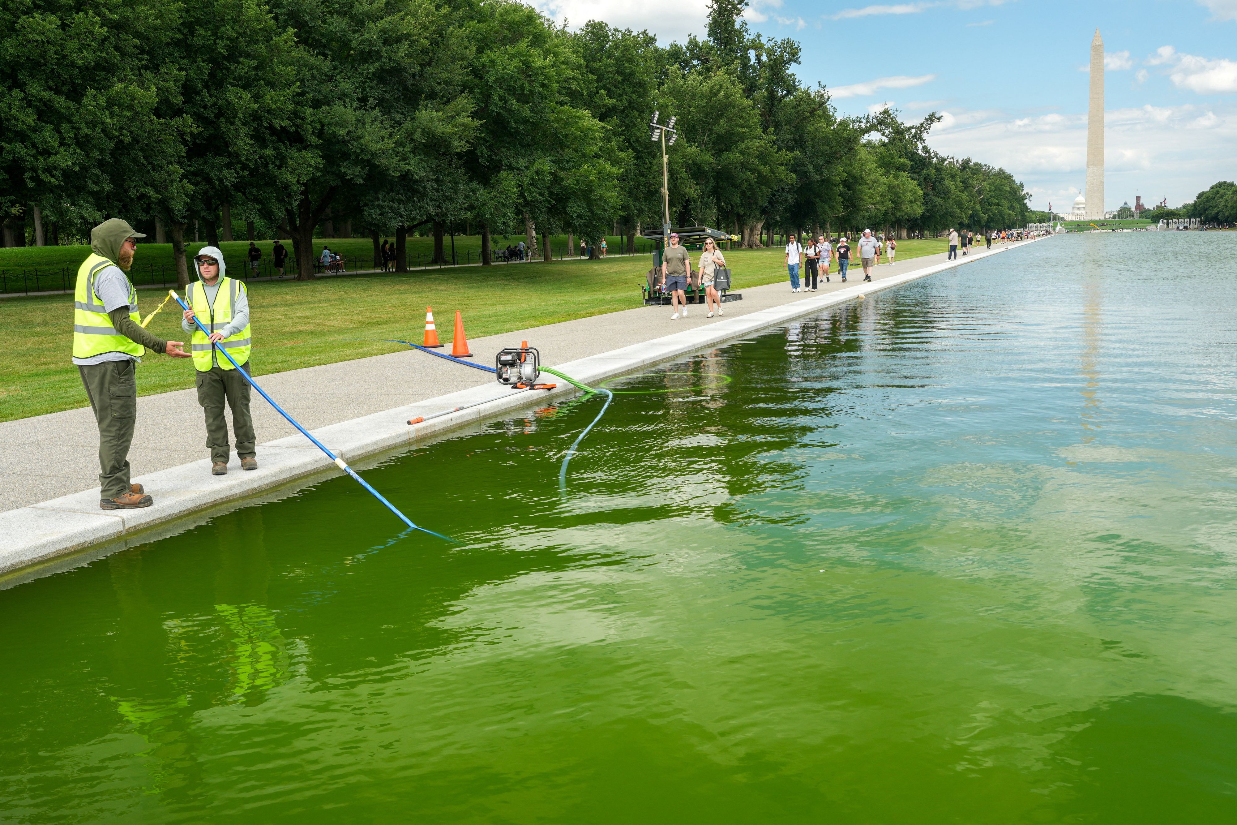 Das Wasserbecken vor dem Lincoln-Denkmal ist erneut von Algen befallen.