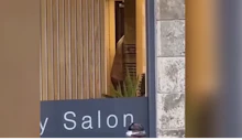 Sex-Szene im Friseursalon – und alle schauen zu