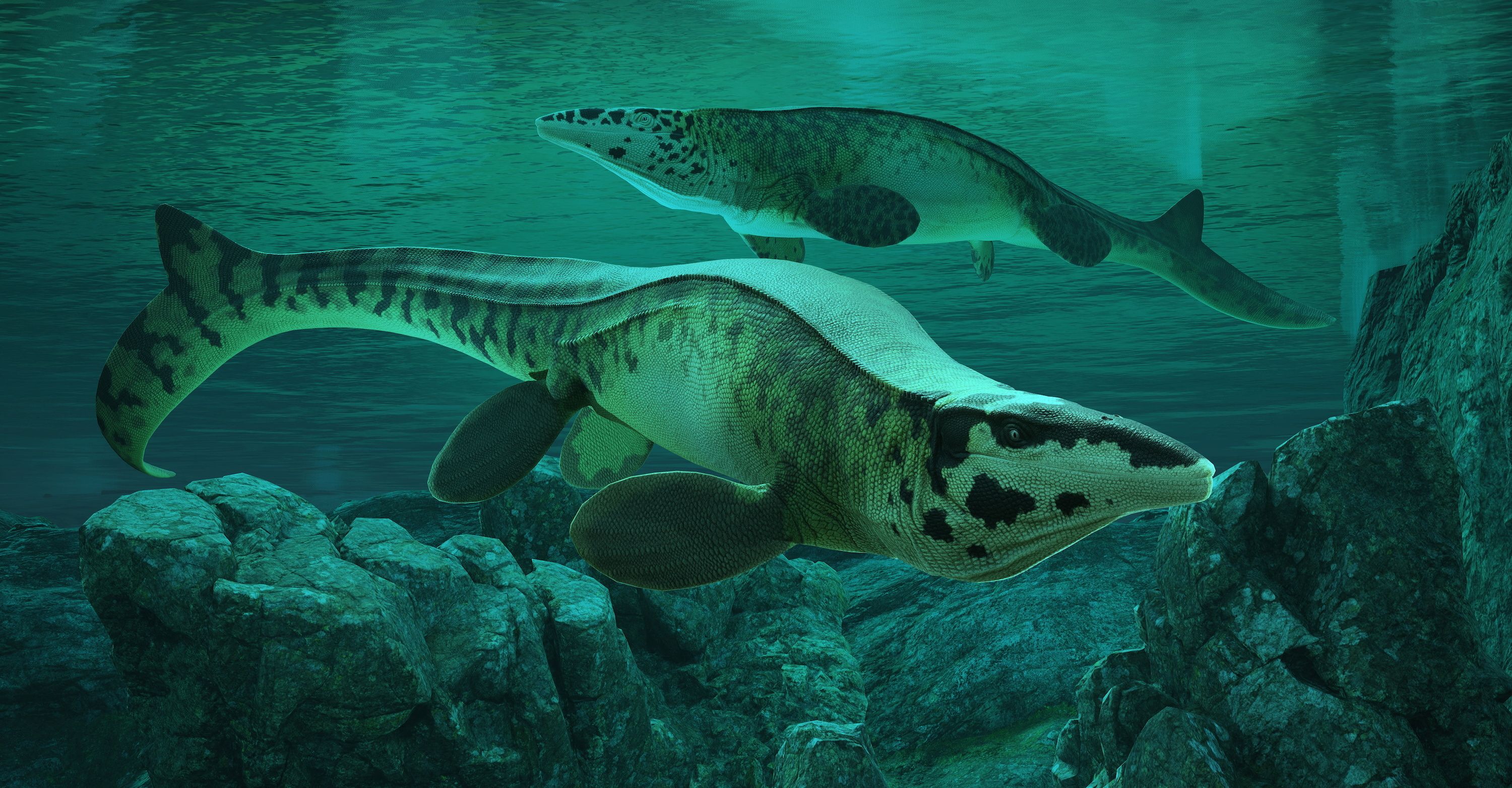Tylosaurus Rex
