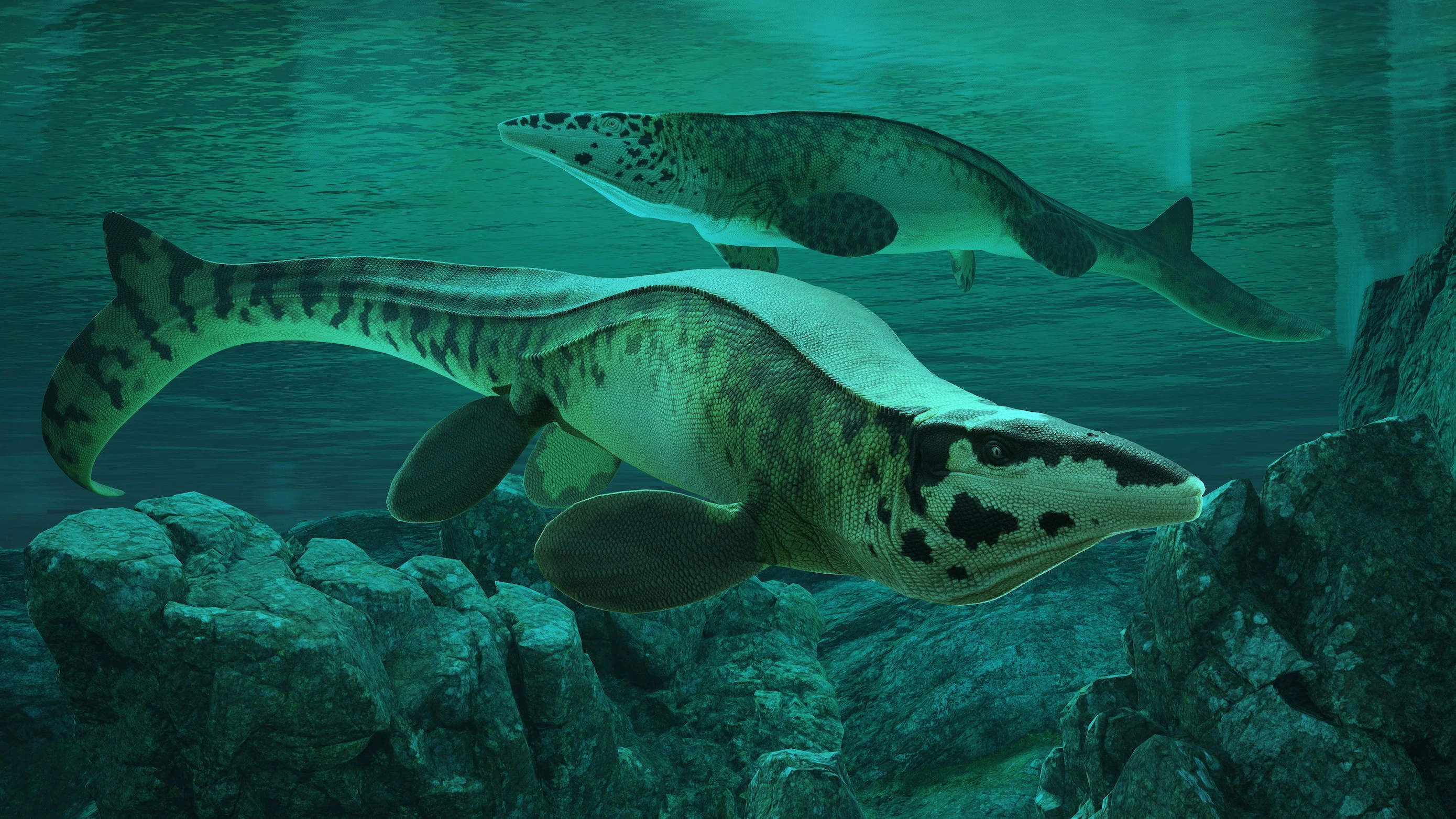 Heute.at - Tylosaurus Rex – Neuer Meeres-Tyrann entdeckt