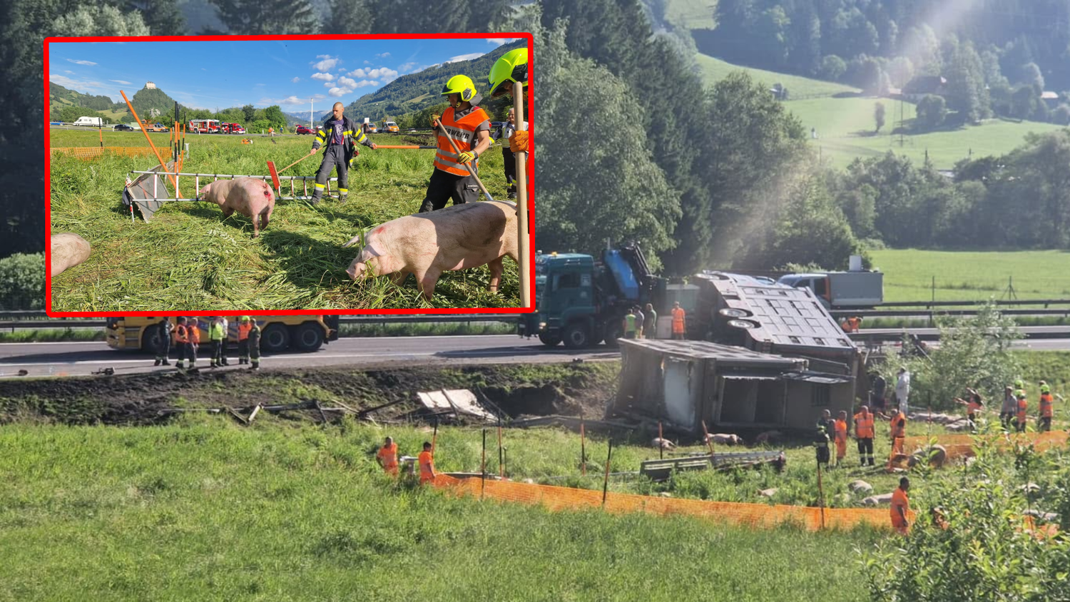 Die Feuerwehr musste die Tiere einfangen.