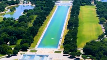 Trumps Pool: Blau am Rand, grün in der Mitte
