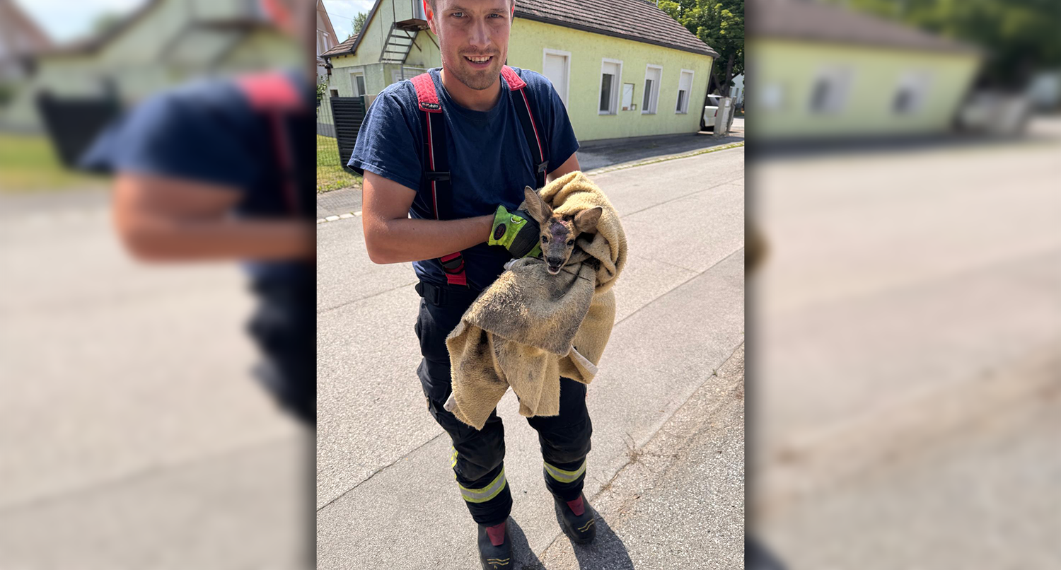 Das kleine Reh konnte gerettet werden. 