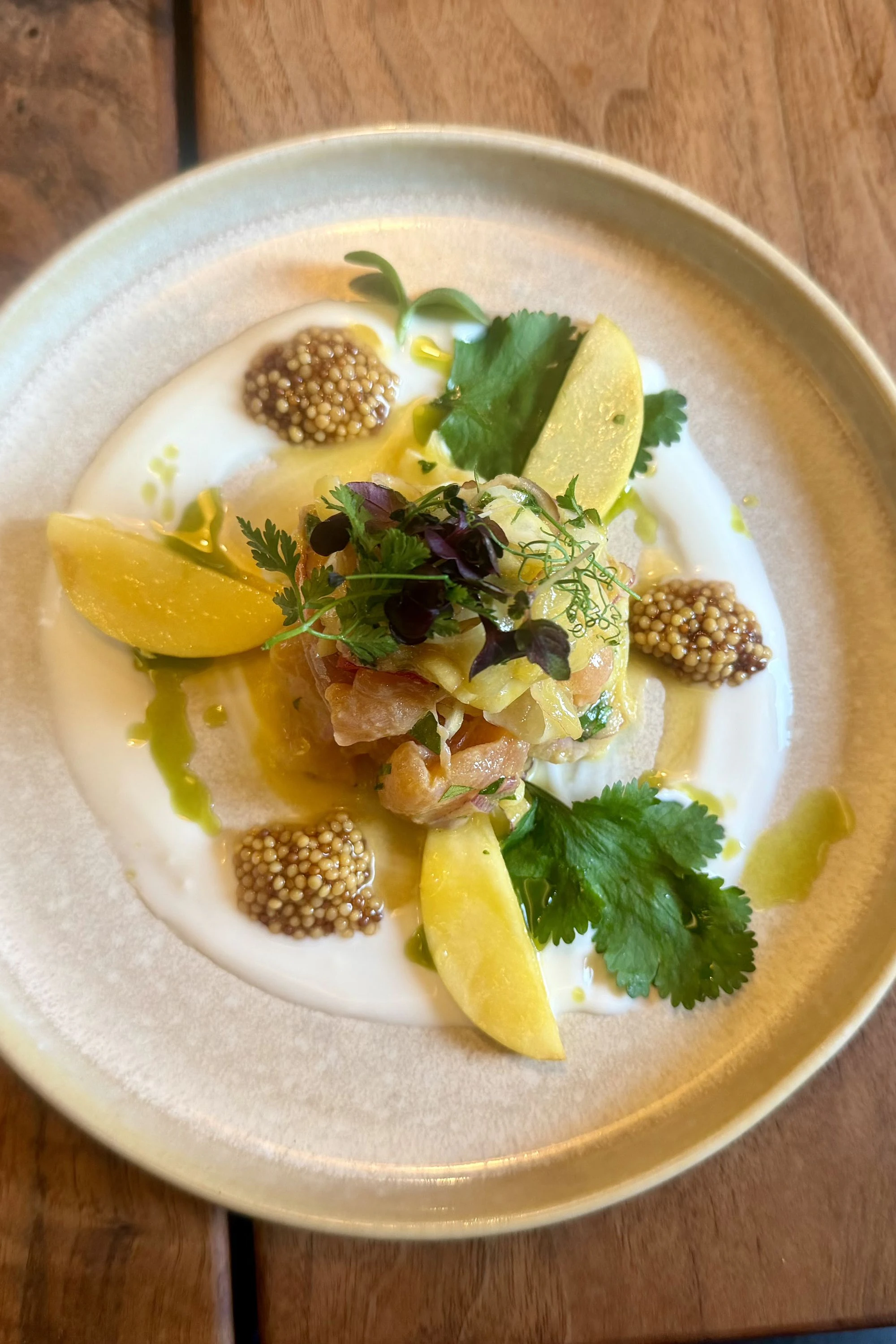 Ceviche vom "Ausseer" Saibling |Fenchel | Koriander | Schafmilchjoghurt | Senfkaviar in der "Koppenrast" in Obertraun