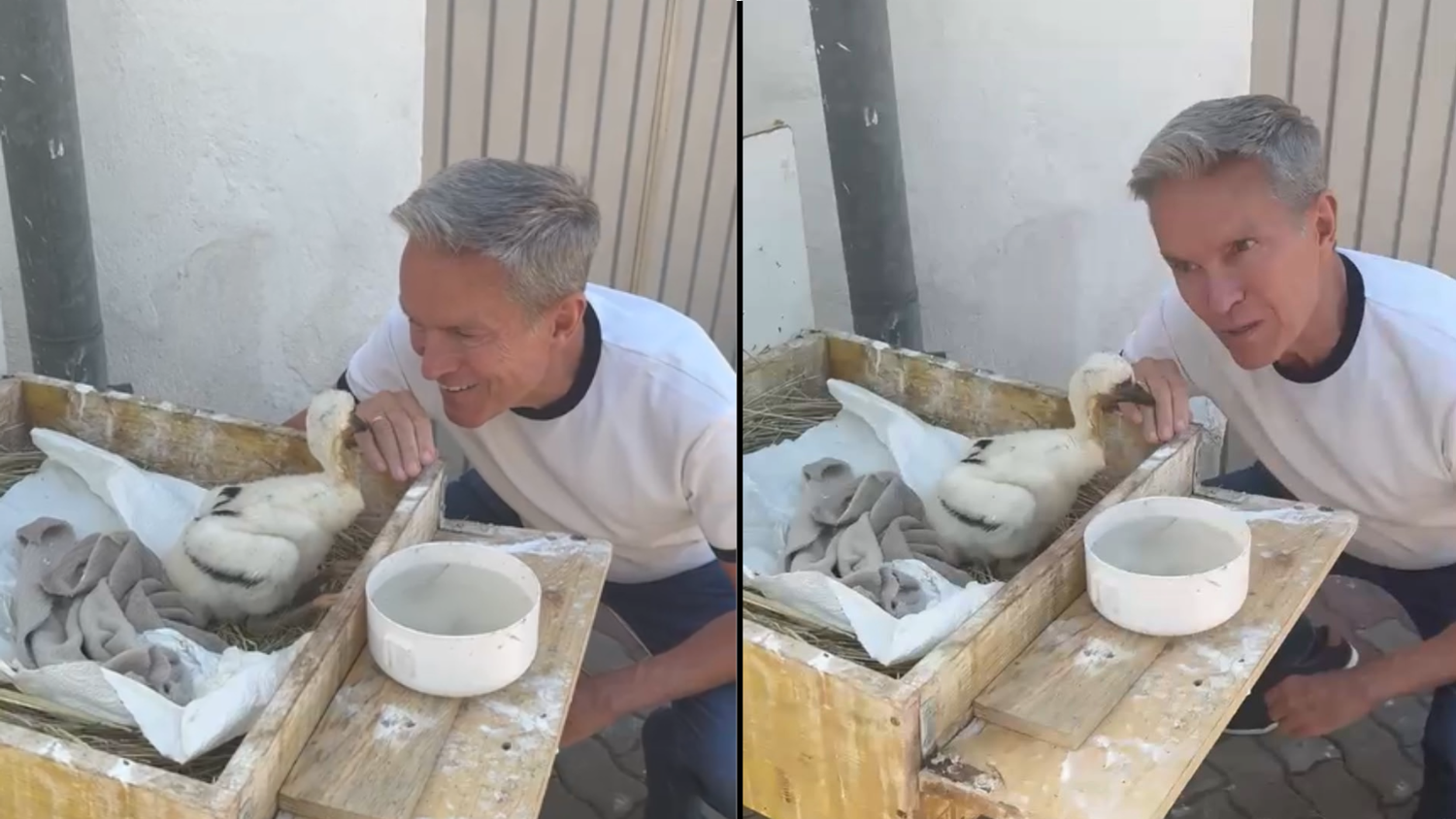 Heute.at - Dieser Nachwuchs hält Alfons Haider auf Trab
