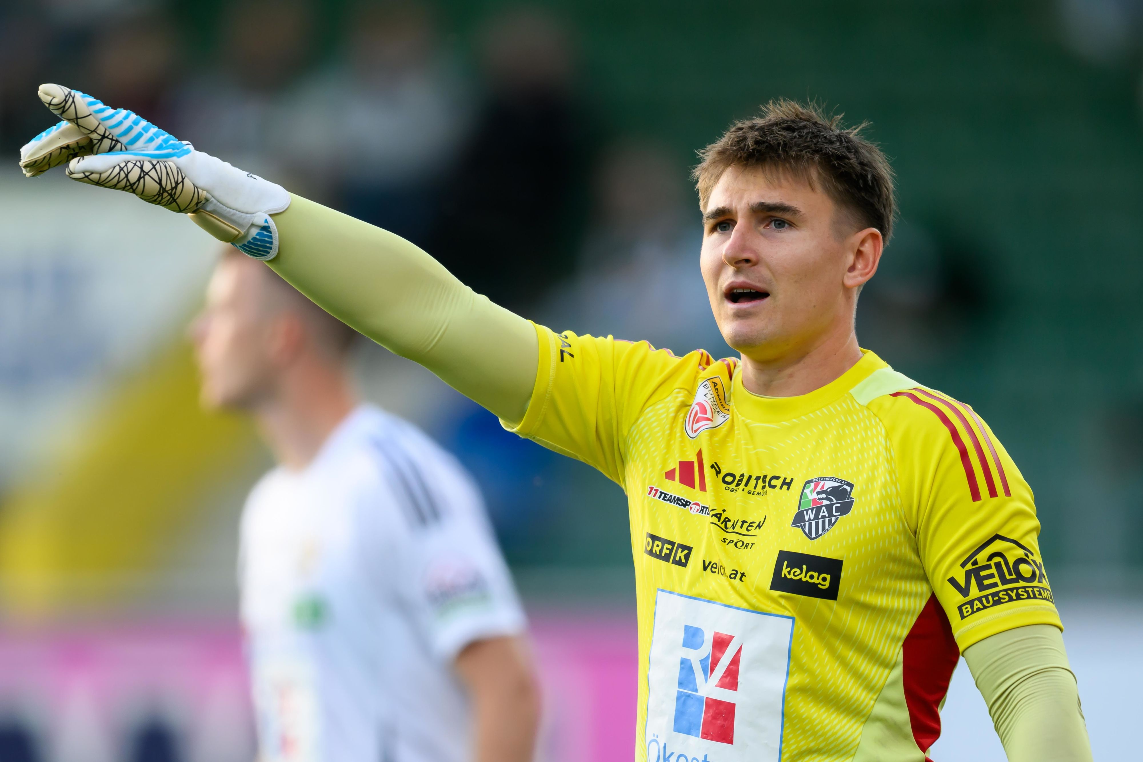 Nikolas Polster