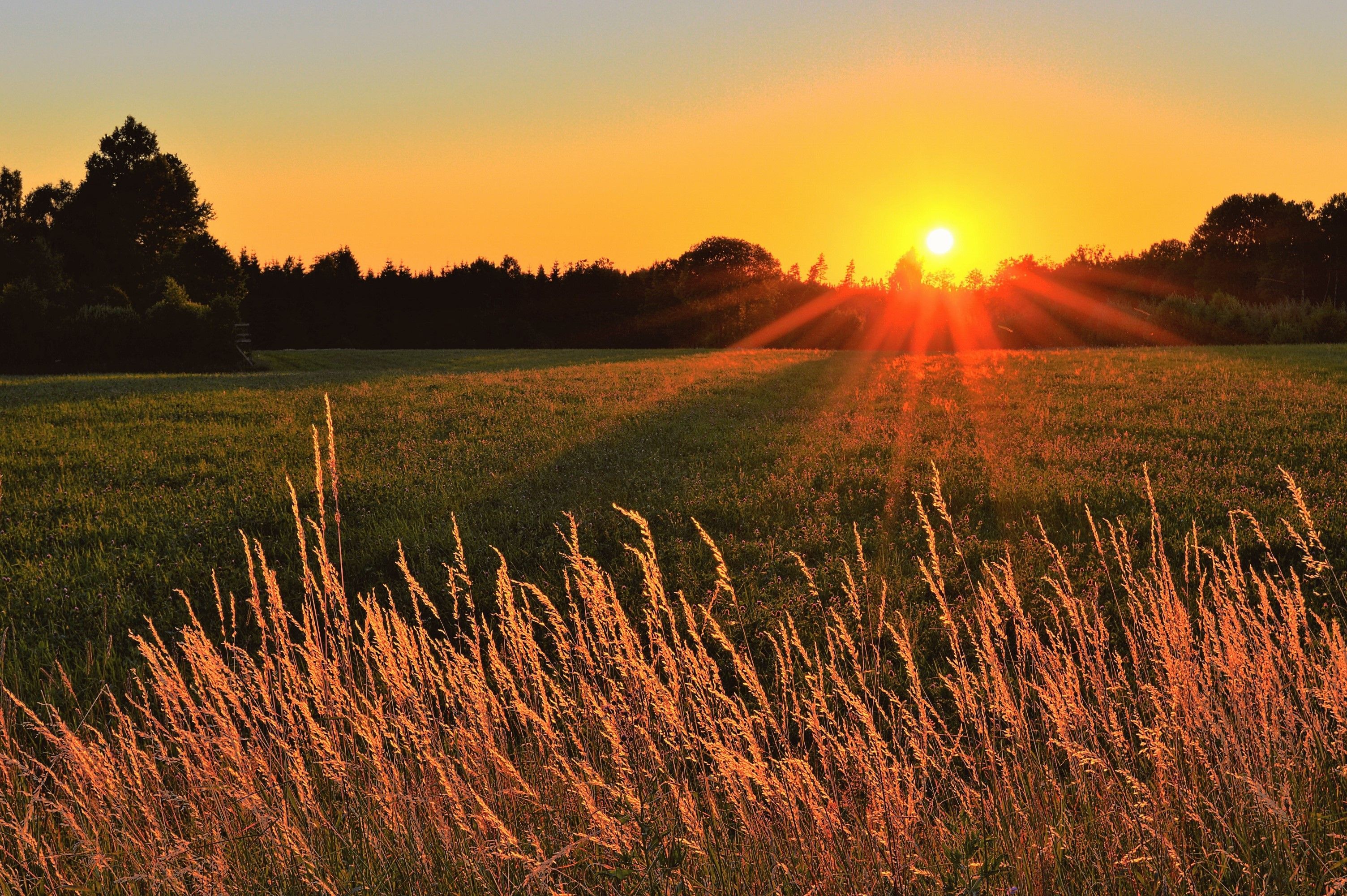 Nach dem Sonnenuntergang verschwindet das Tageslicht heute nicht sofort.