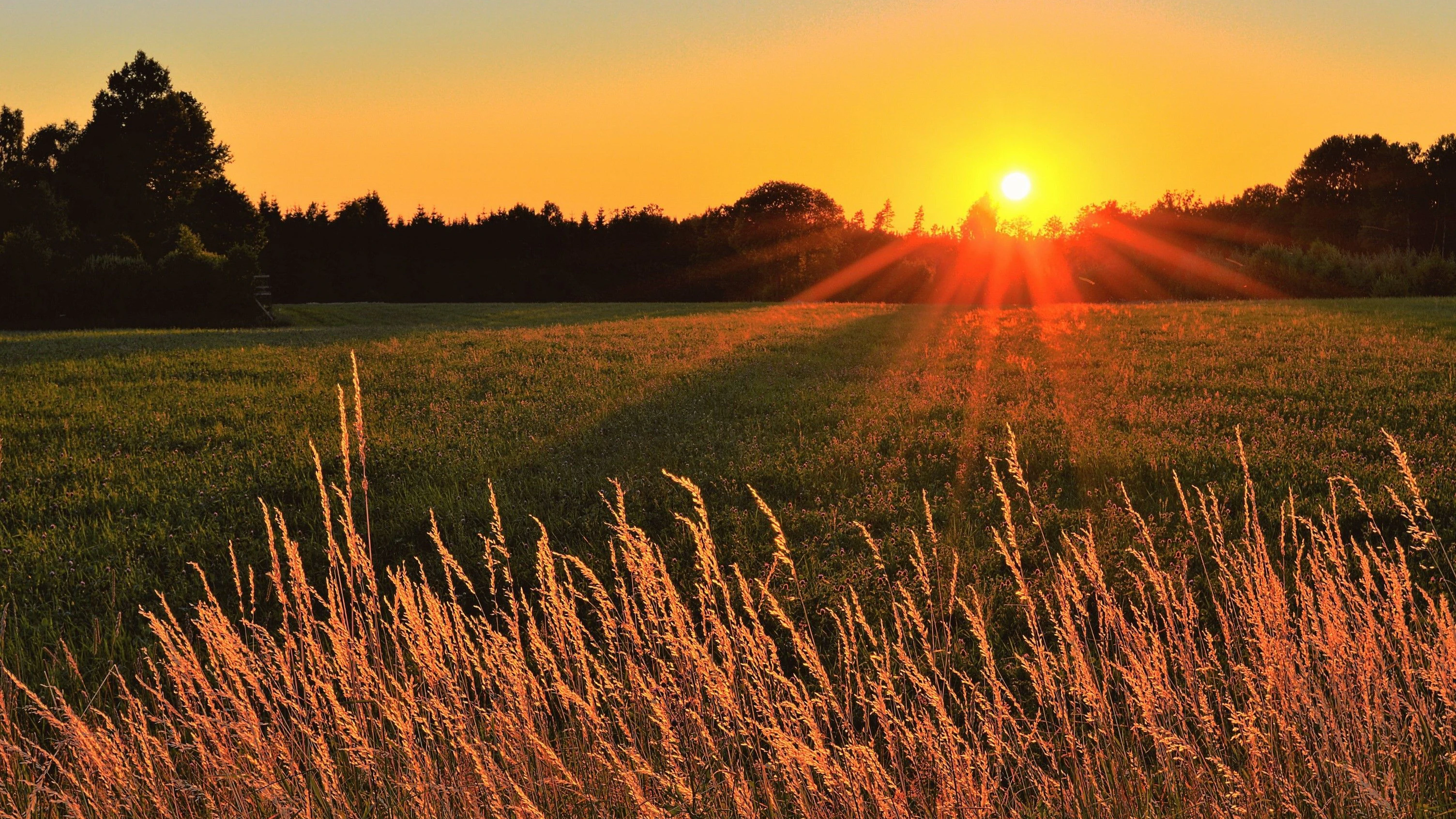 Sonnenuntergang