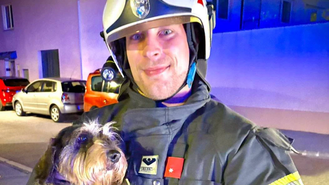 Der Hund wird jetzt im Tierschutzhaus aufgepäppelt.