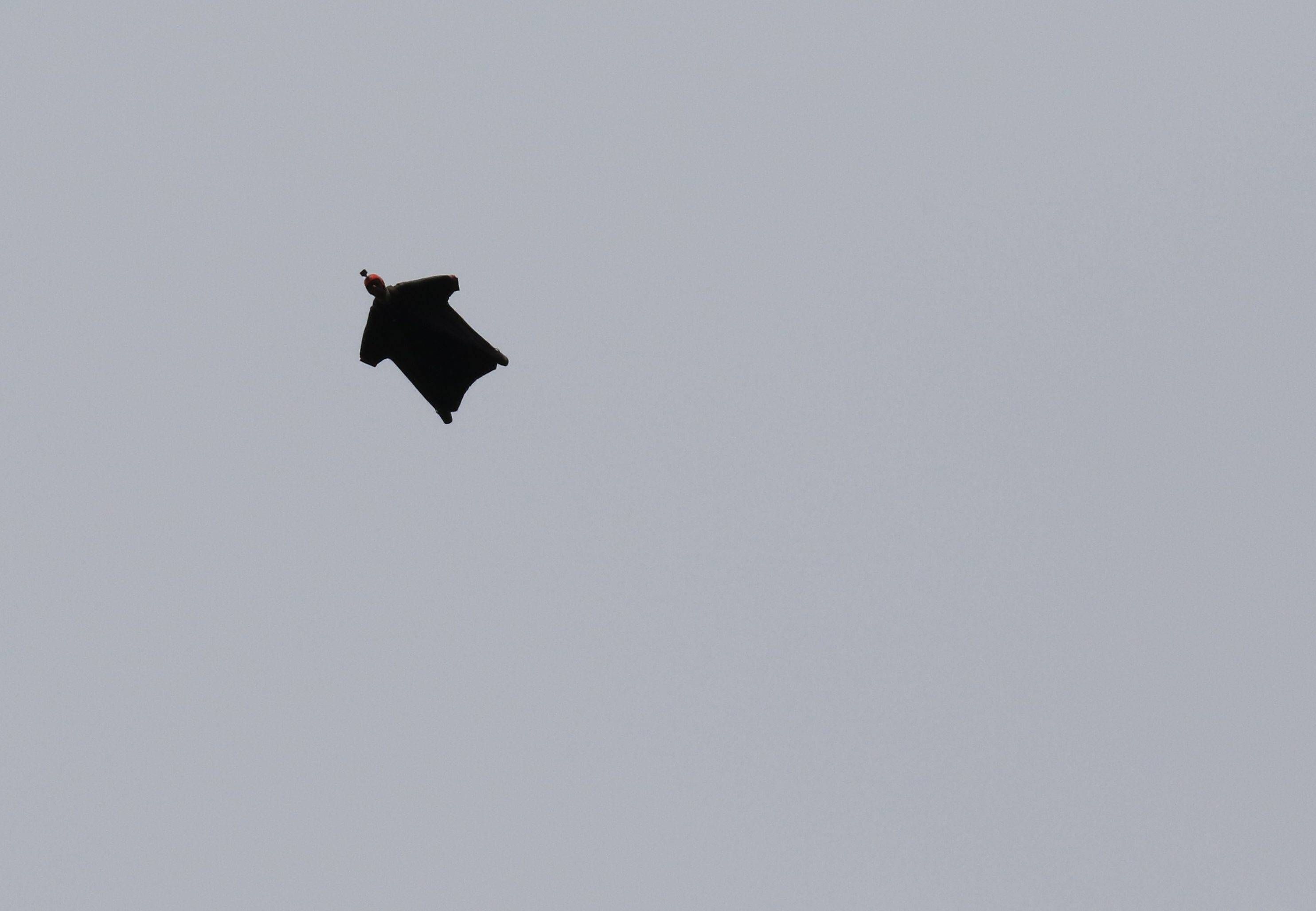 Heute.at - Rätsel nach Wingsuit-Absturz: Schirm wird geprüft