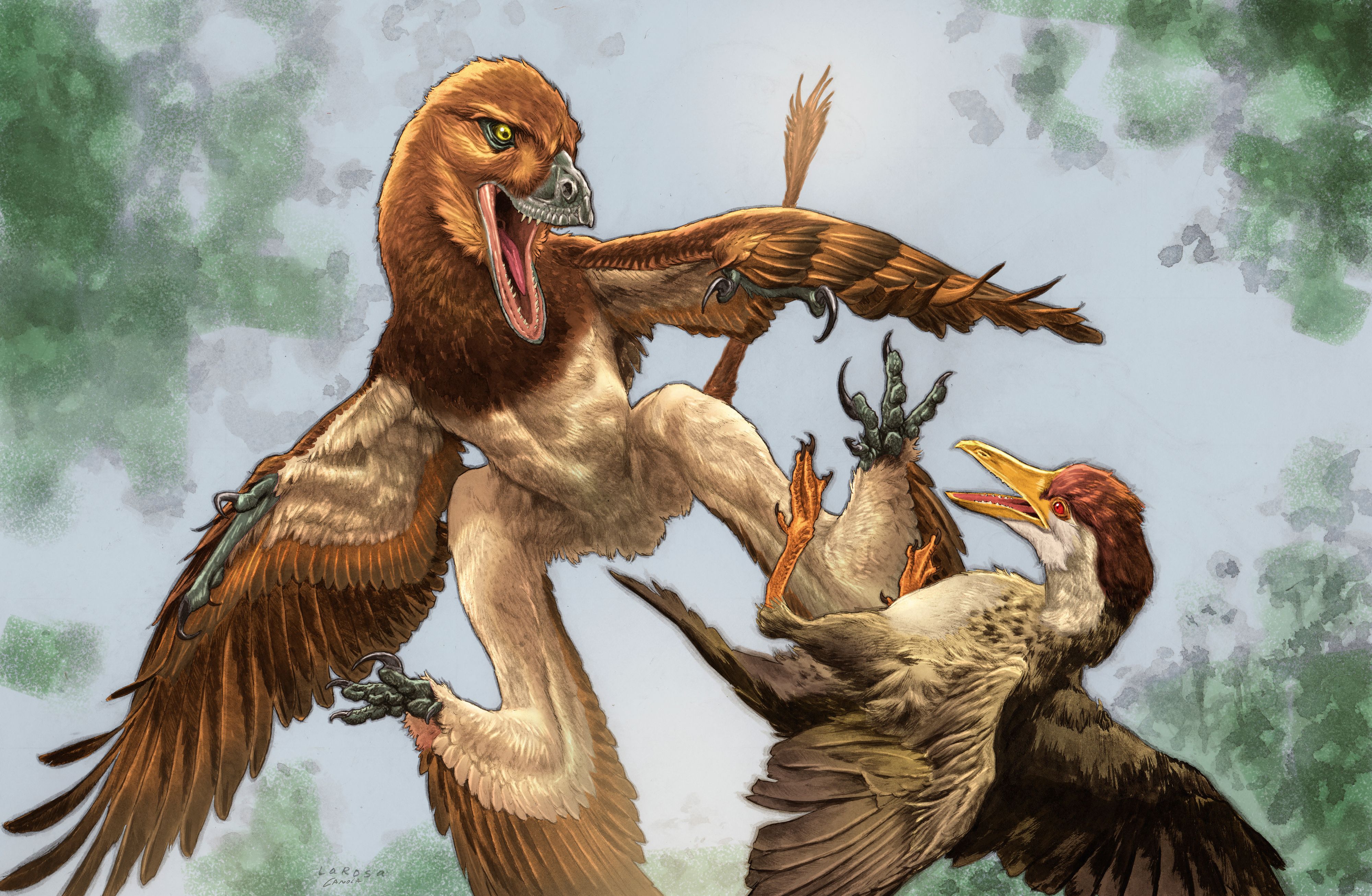 Heute.at - So lebten vierflügelige Dinosaurier wirklich