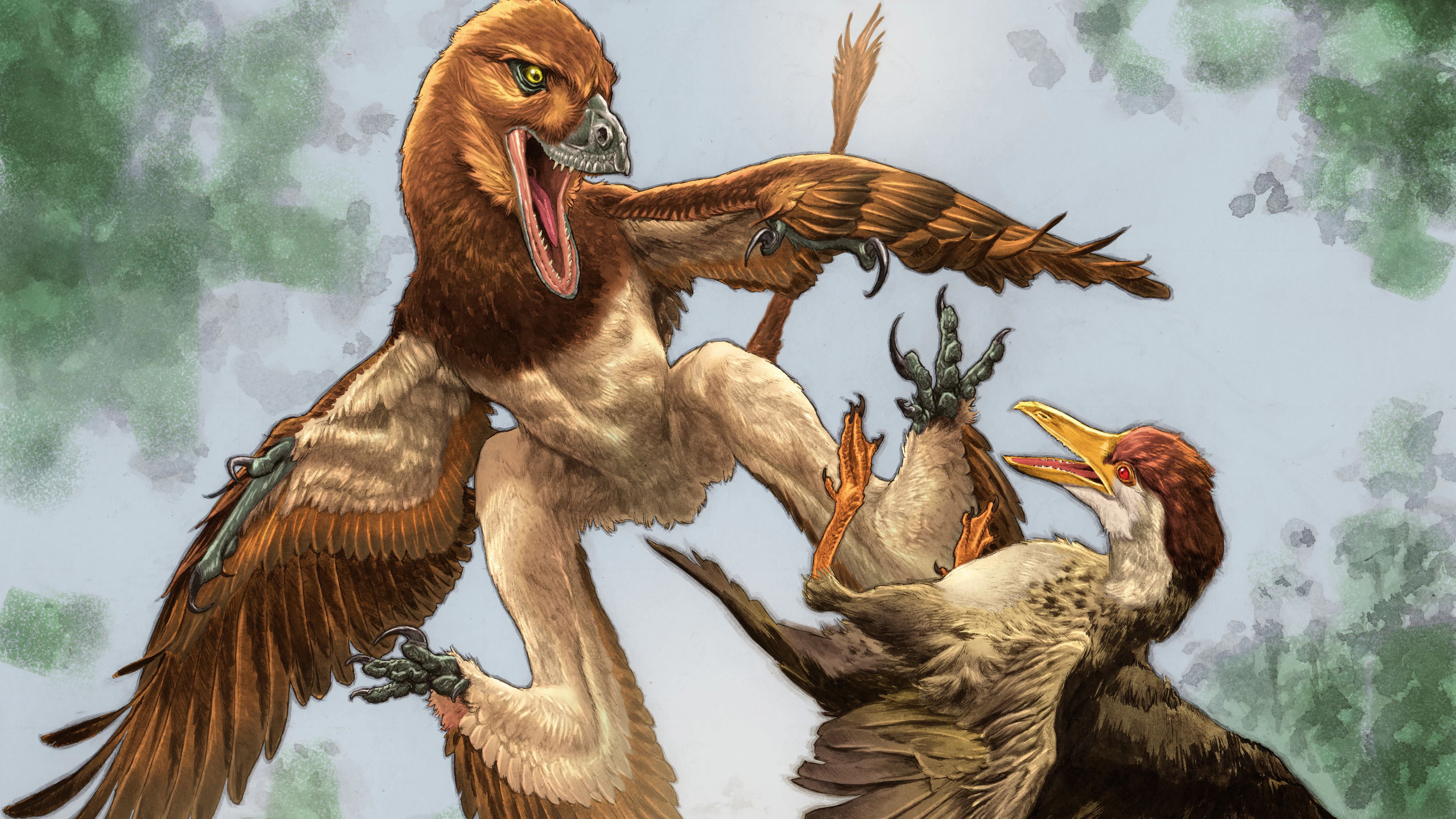 This illustration shows the newly identified dinosaur Jian changmaensis (left) attacking the bird Gansus yumenensis in what is now the Changma Basin of northwestern China approximately 120 million years ago. The illustration was released on June 4, 2026. Illustration by Lewis LaRosa, colorized by Jao Canola/Handout via REUTERS NO RESALES. NO ARCHIVES THIS IMAGE HAS BEEN SUPPLIED BY A THIRD PARTY