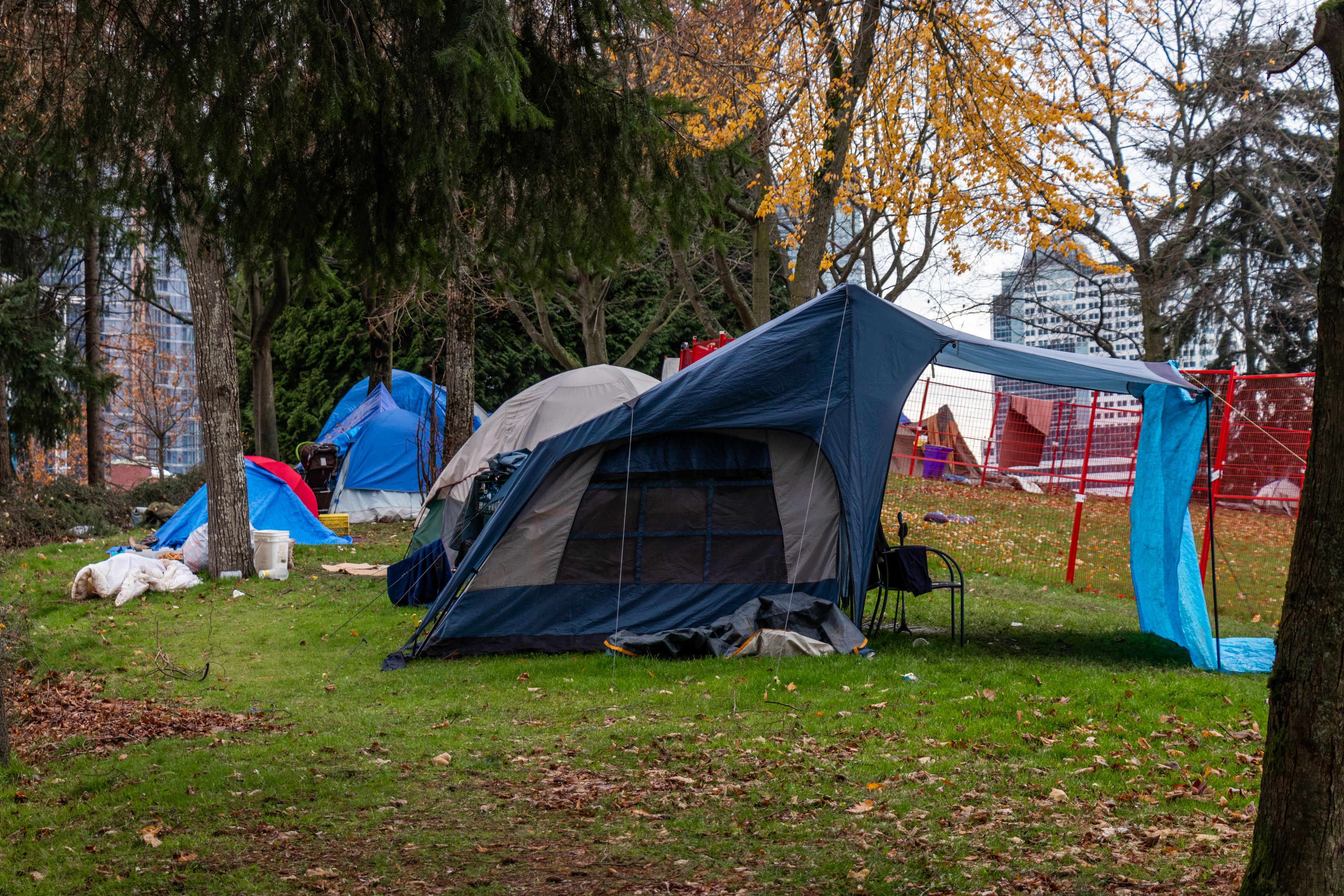 Die Familien haben sich in dem Park einquartiert. (Symbolbild)