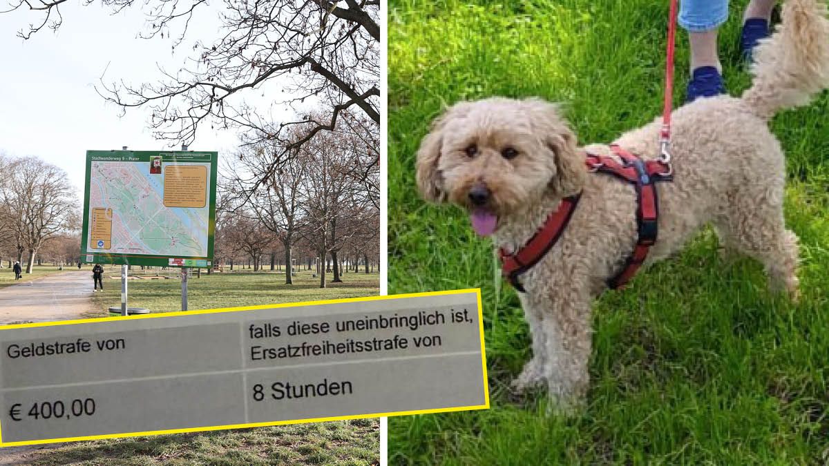 Teurer Spaziergang mit 