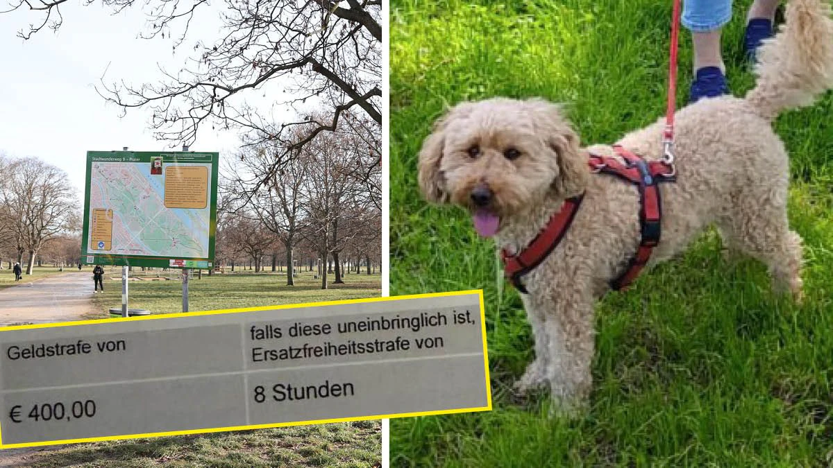 Heute.at - 400 Euro Strafe nach Spaziergang mit Gismo im Prater