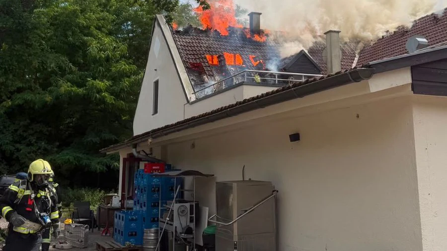 Vier Feuerwehren waren Dienstagnachmittag am Bisamberg im Großeinsatz.