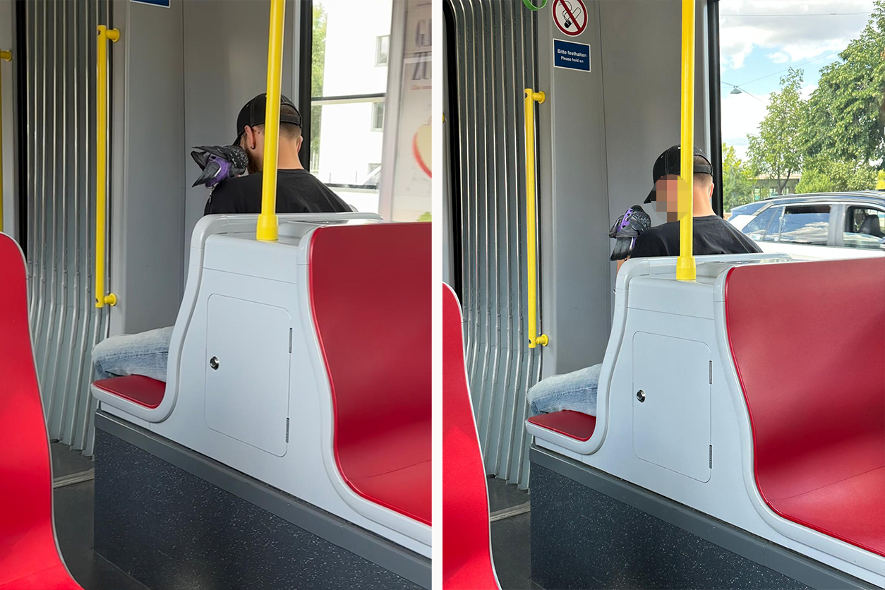 Der Fahrgast erregte mit seinem tierischen Begleiter gewaltig Aufmerksamkeit.