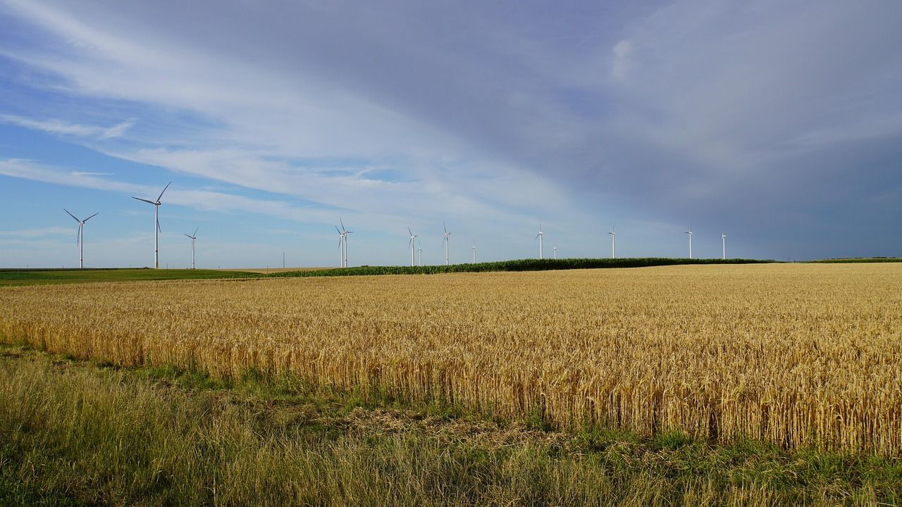Hitzegewitter über trockener Landschaft