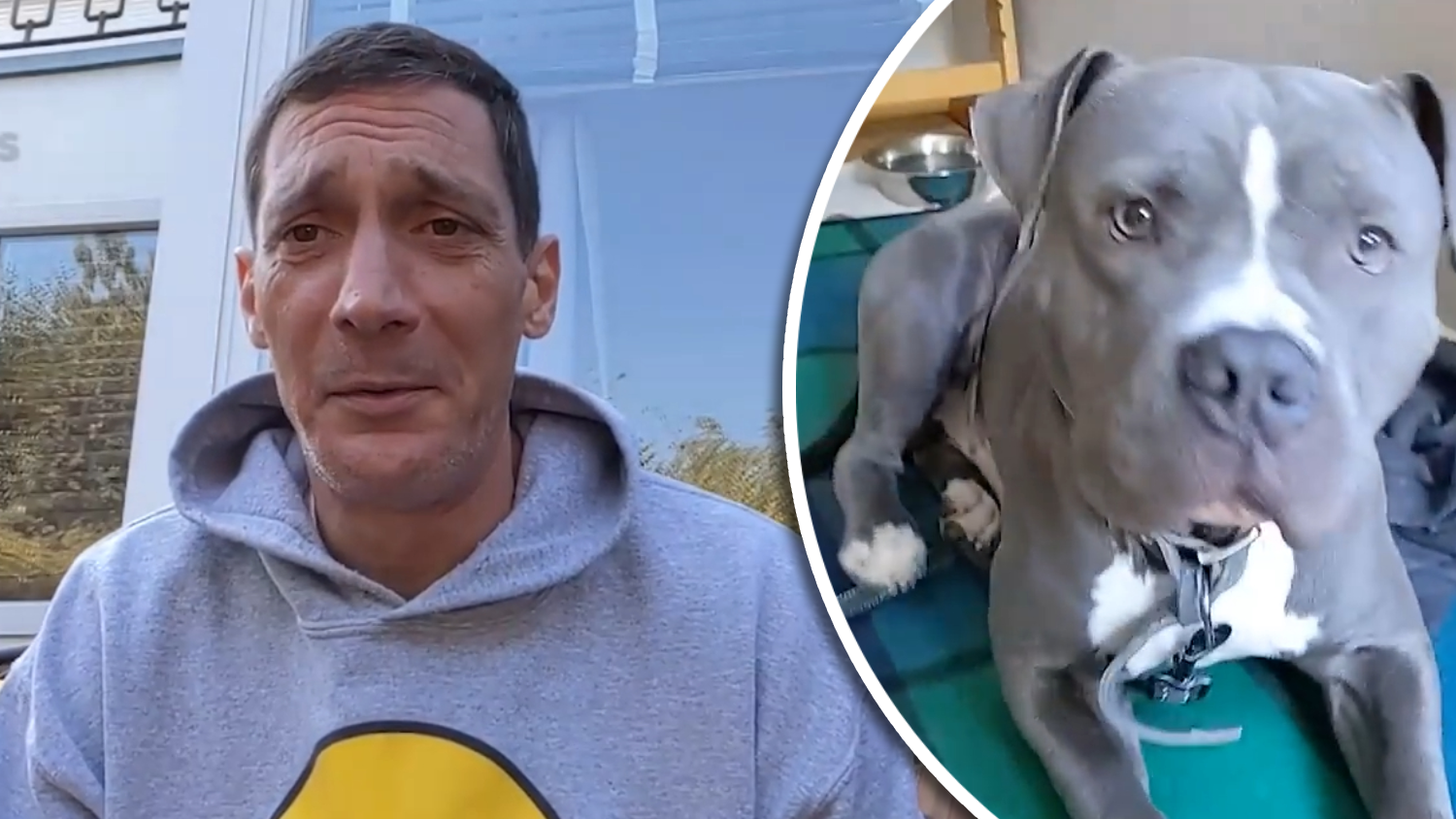 $ick betont,&nbsp; kein Tierquäler oder ähnliches zu sein und seinen Hund Eddy seit vielen Jahren als besten Freund und treuesten Begleiter anzusehen.