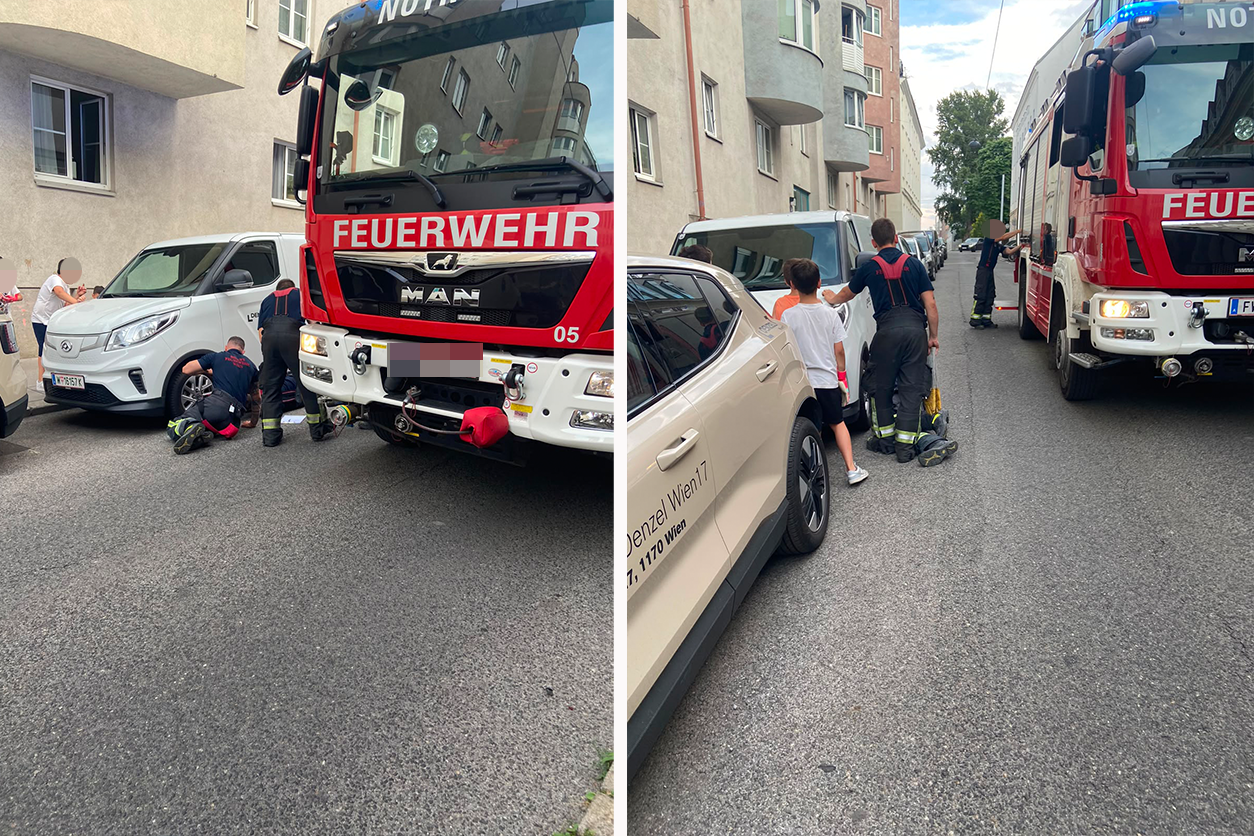 Am Montag sorgte ein Katze für einen Einsatz der Wiener Berufsfeuerwehr.