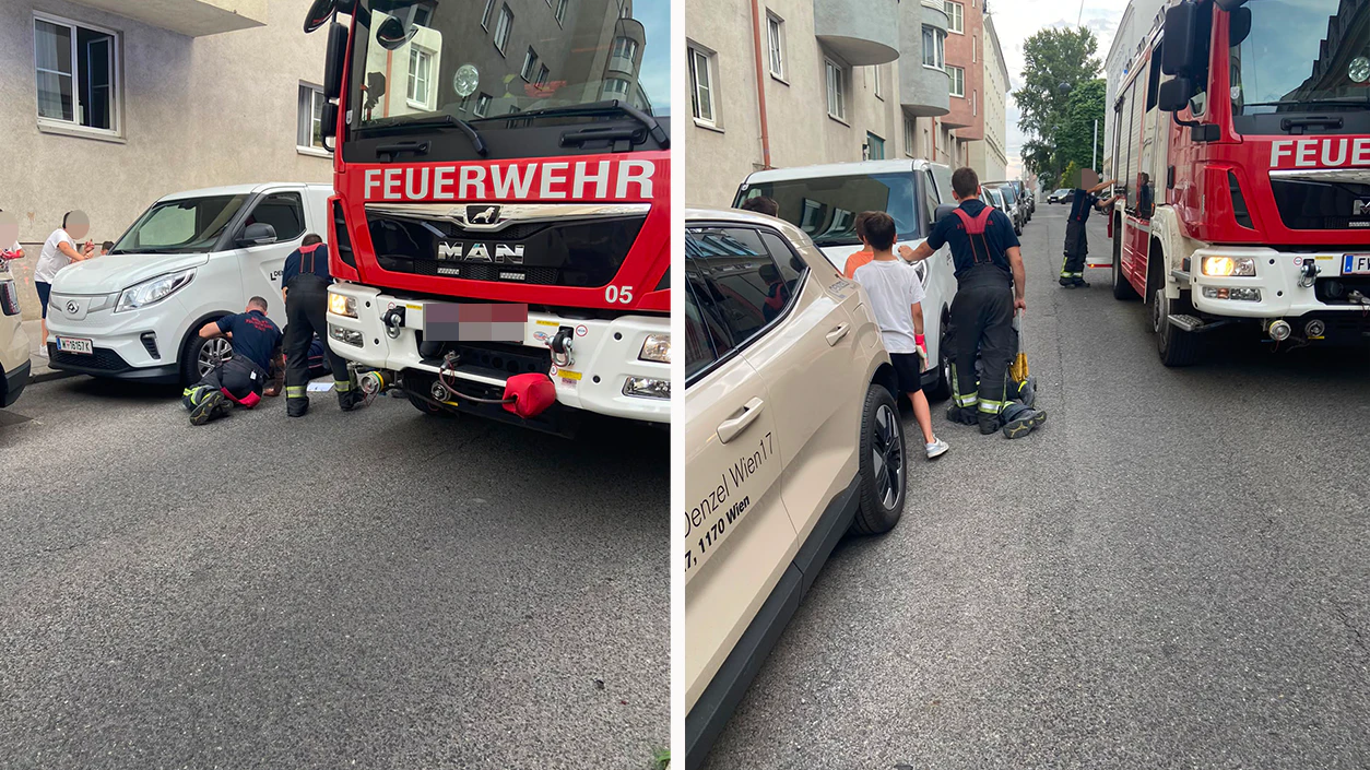 Am Montag sorgte ein Katze für einen Einsatz der Wiener Berufsfeuerwehr.