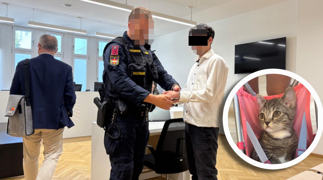 Der Angeklagte übernahm für den qualvollen Tod von Kätzchen Olaf die Verantwortung, kam mit bedingter Haft davon.